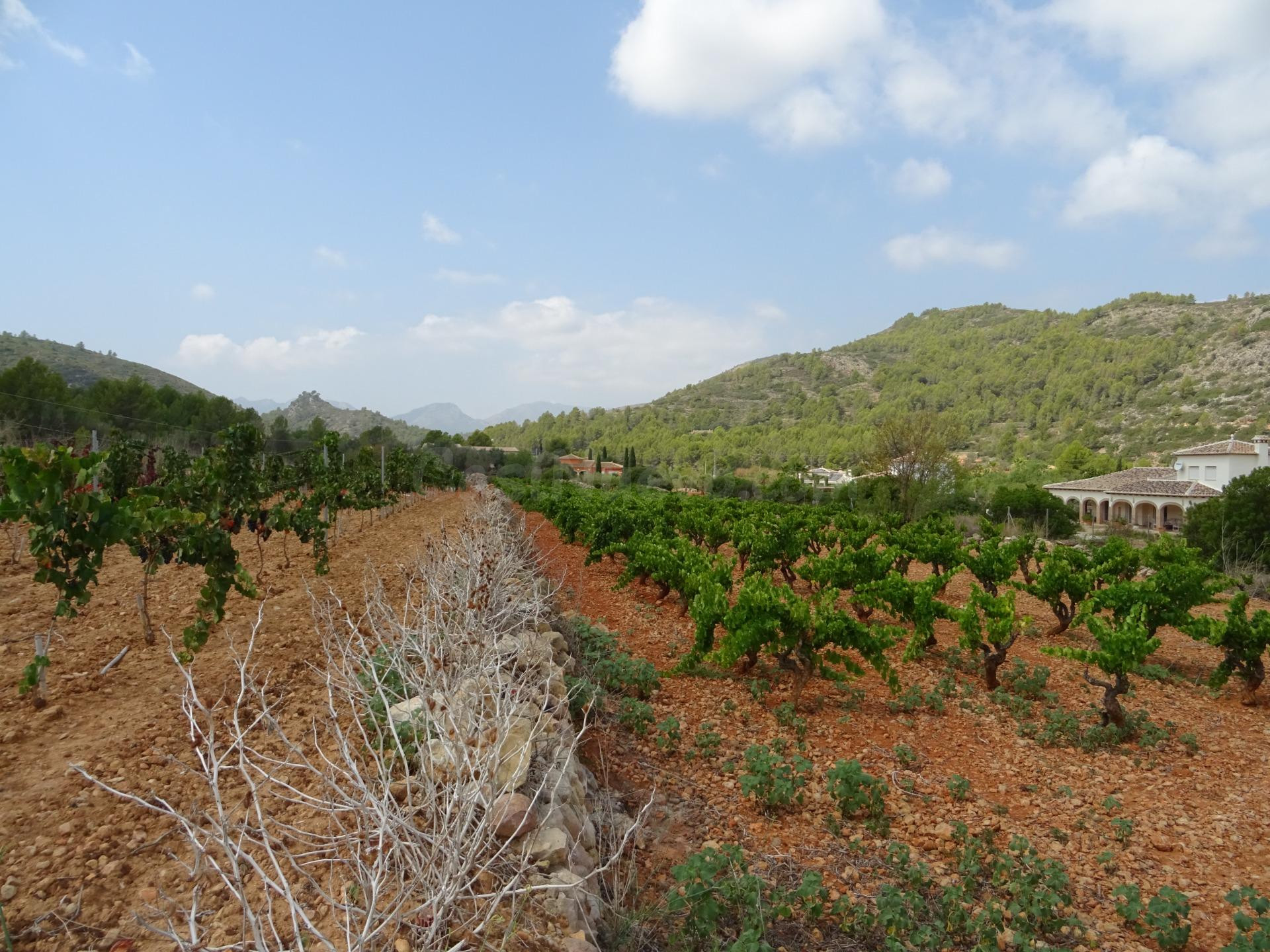Terreno construible en Lliber