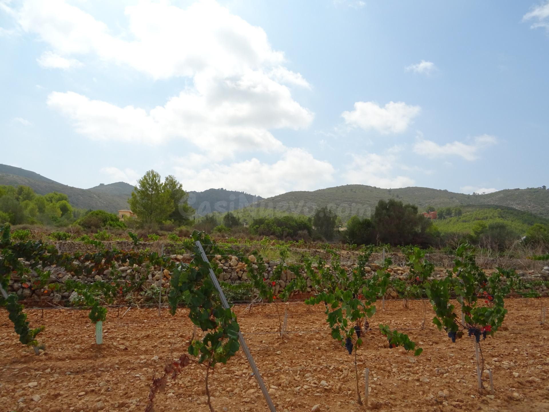 Terreno construible en Lliber - foto 4