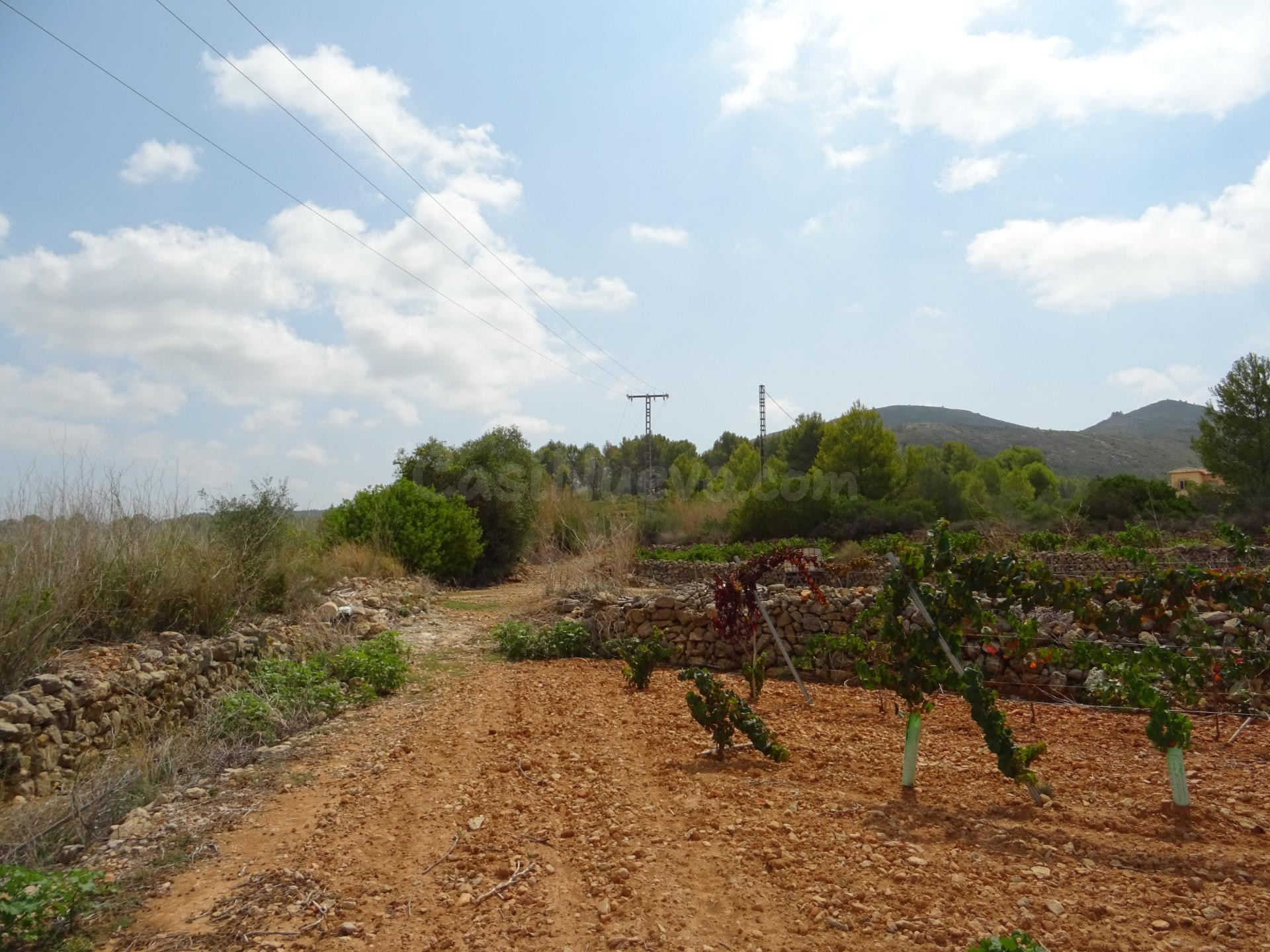 Terreno construible en Lliber - foto 5