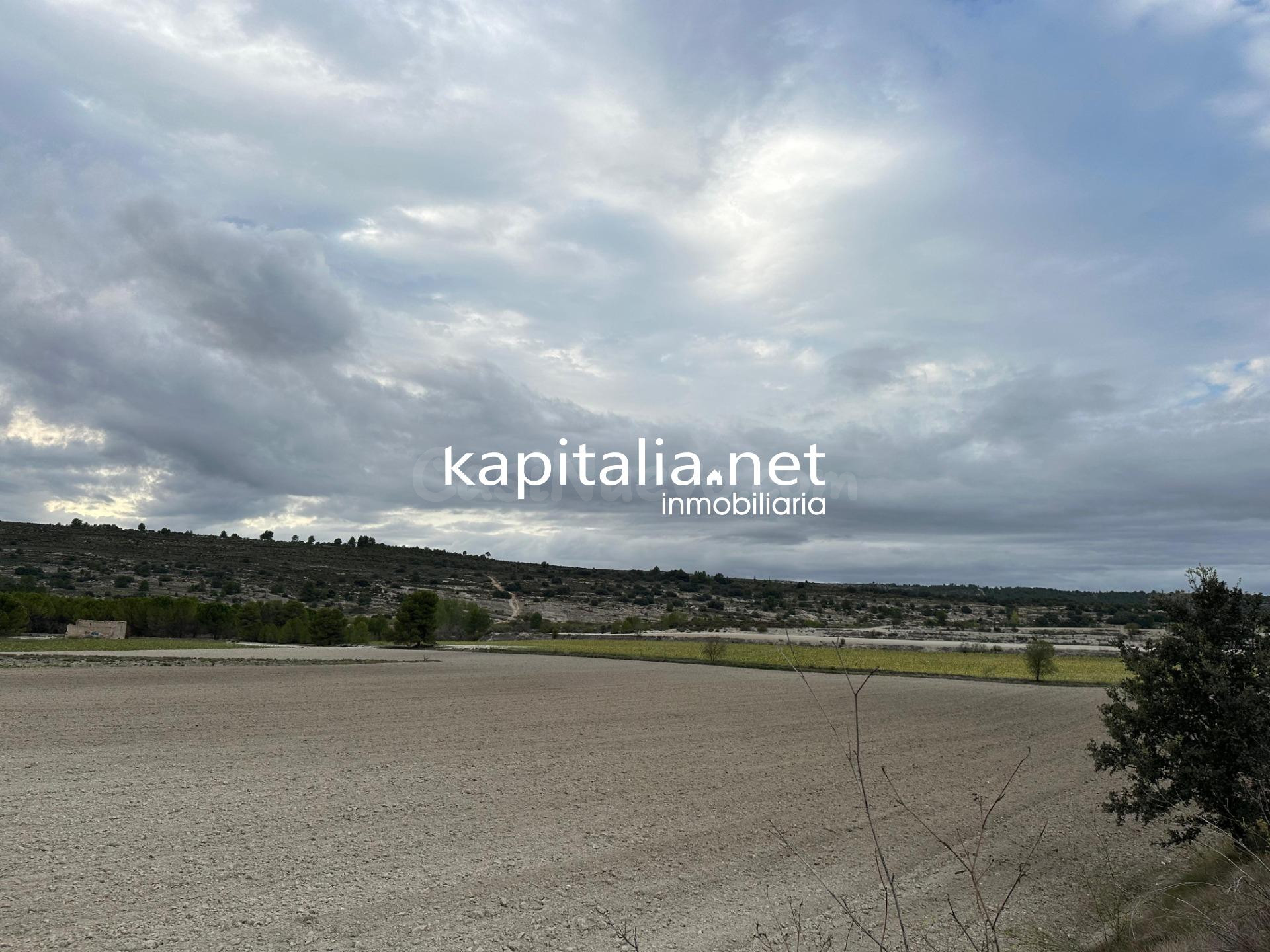 Parcela a la venta en Alfafara - foto 5