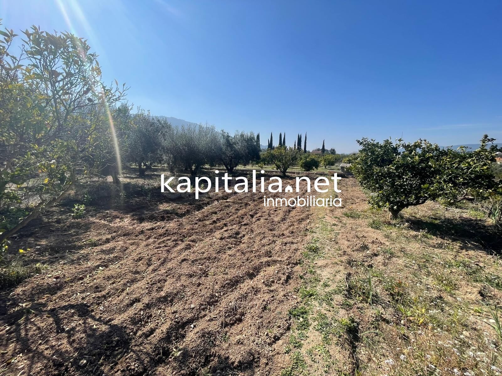 Terreno en Vallada - foto 5