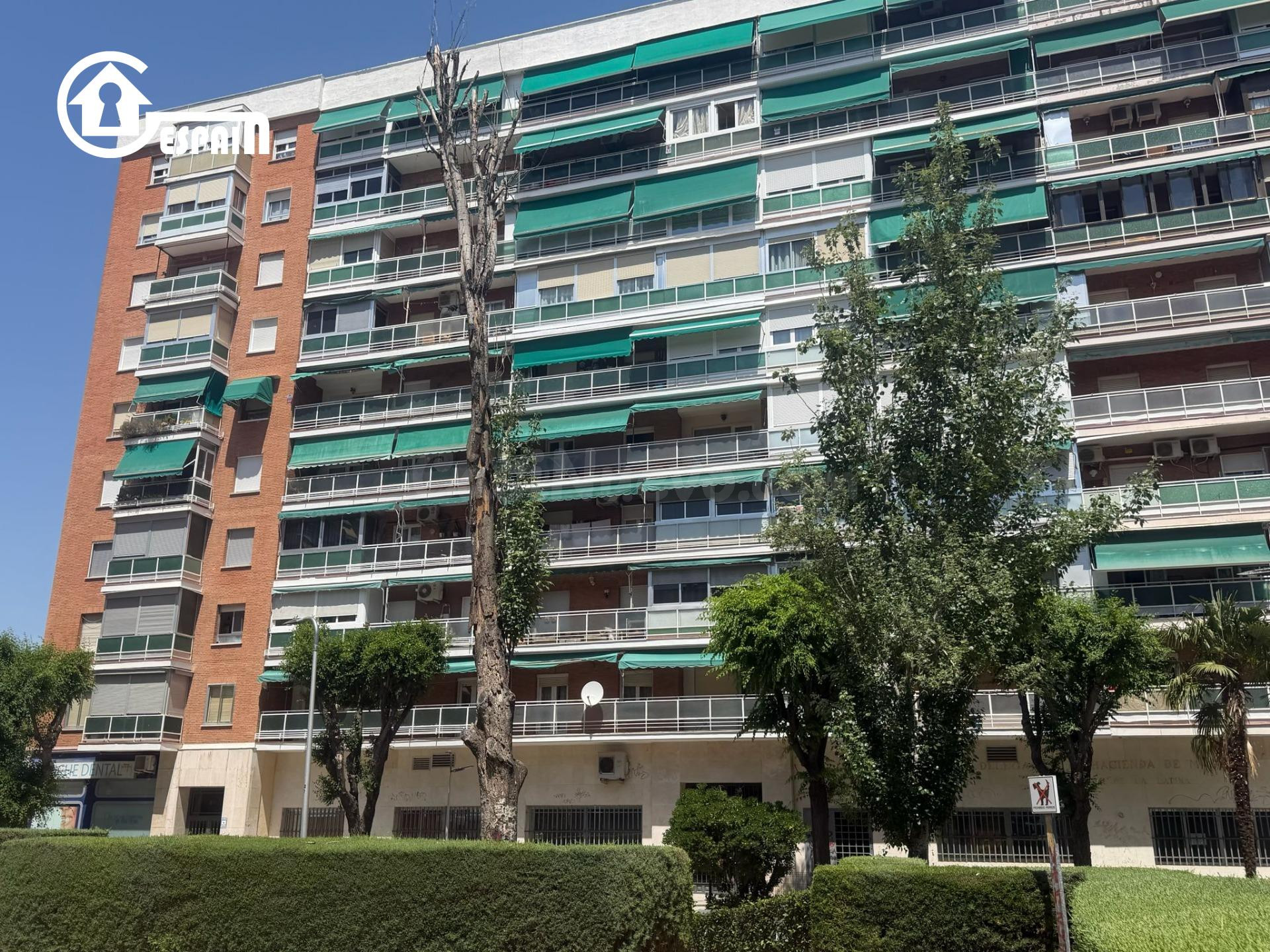 GESPAIN ALUCHE-CAMPAMENTO OFRECE EN EXCLUSIVA