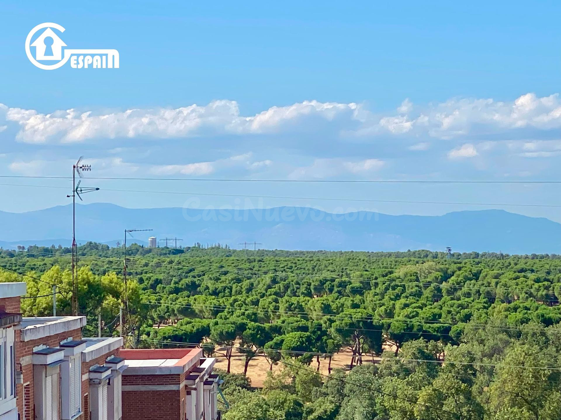 ¡GESPAIN ALUCHE-CAMPAMENTO OFRECE EN EXCLUSIVA!