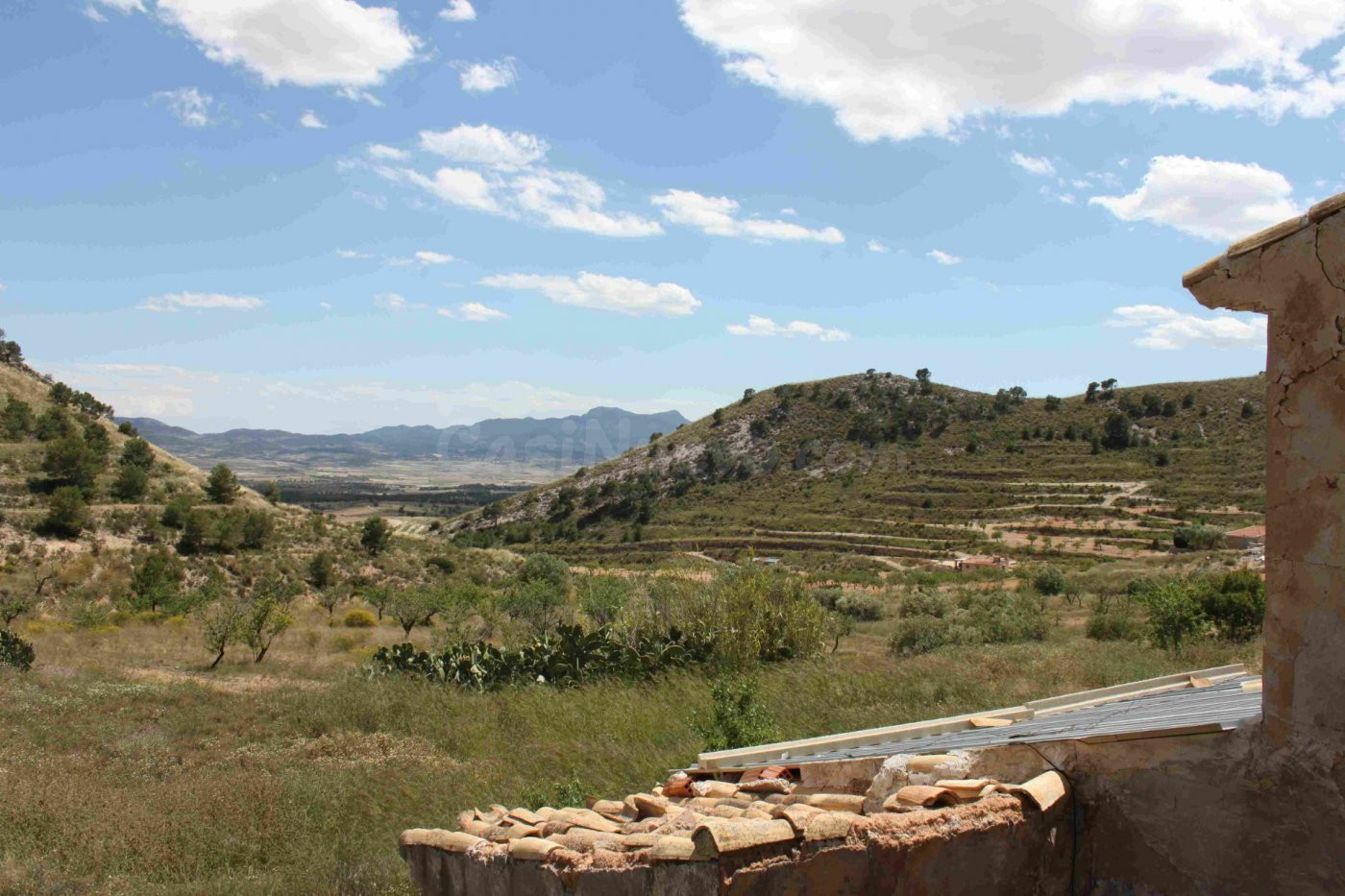 VENTA-PARCELA URBANA-ALTIPLANO-MURCIA-PARCELA 360.000 M2-PRE - foto 2