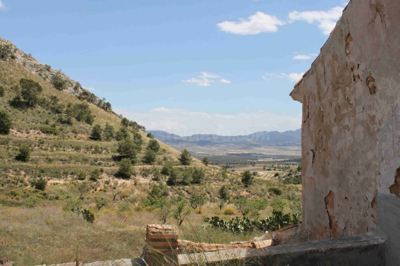 VENTA-PARCELA URBANA-ALTIPLANO-MURCIA-PARCELA 360.000 M2-PRE - foto 3