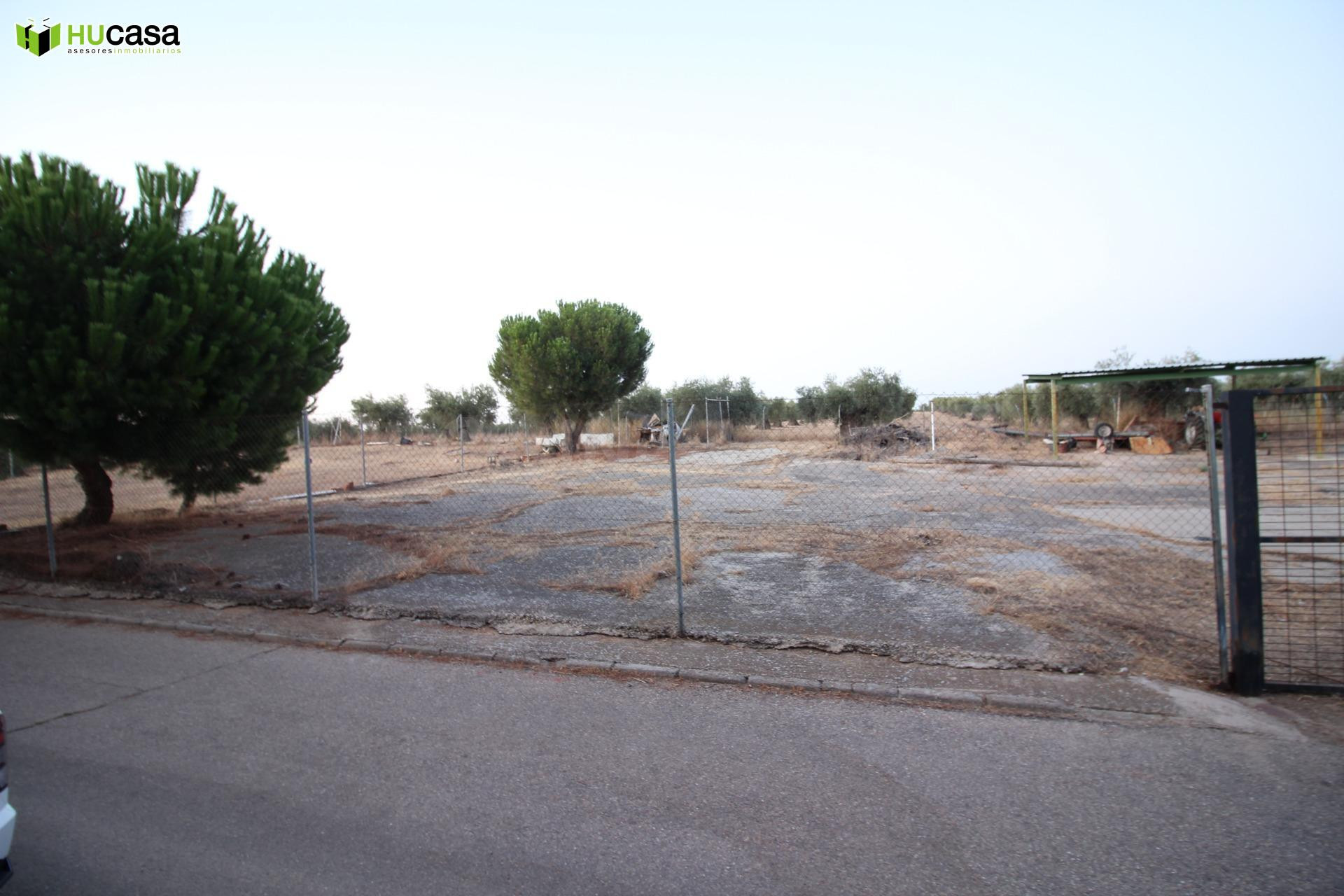 ¡¡OPORTUNIDAD - VENTA DE 2 PARCELAS URBANAS, LISTAS PARA CON - foto 2
