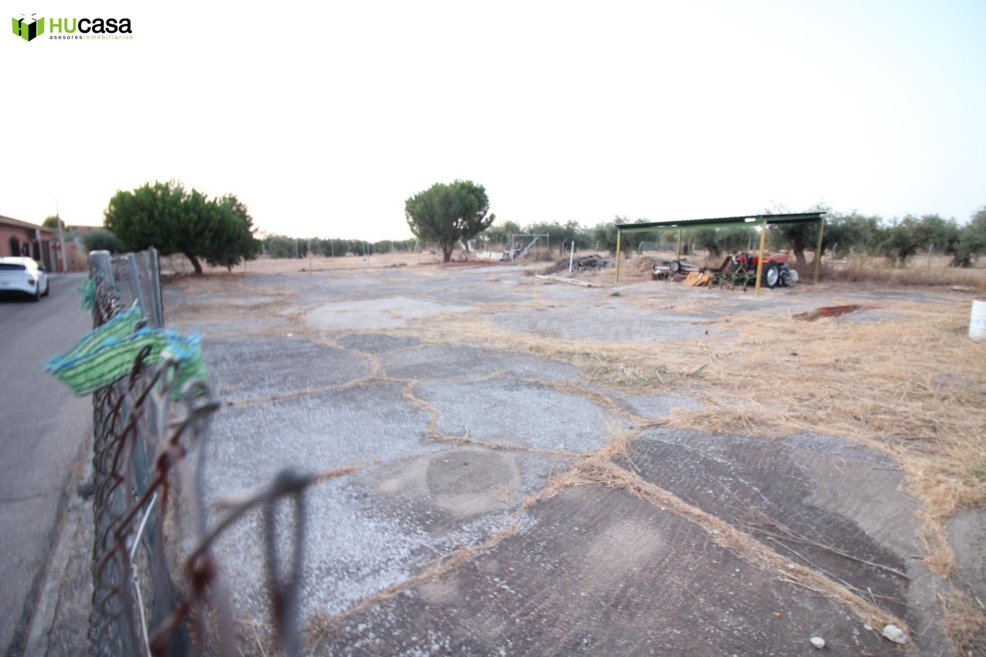 ¡¡OPORTUNIDAD - VENTA DE 2 PARCELAS URBANAS, LISTAS PARA CON - foto 4