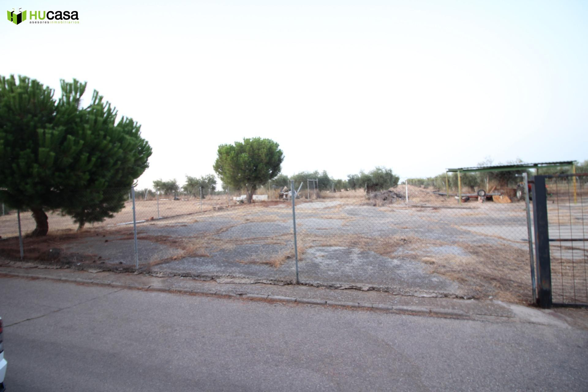 ¡¡OPORTUNIDAD - VENTA DE 2 PARCELAS URBANAS, LISTAS PARA CON - foto 5