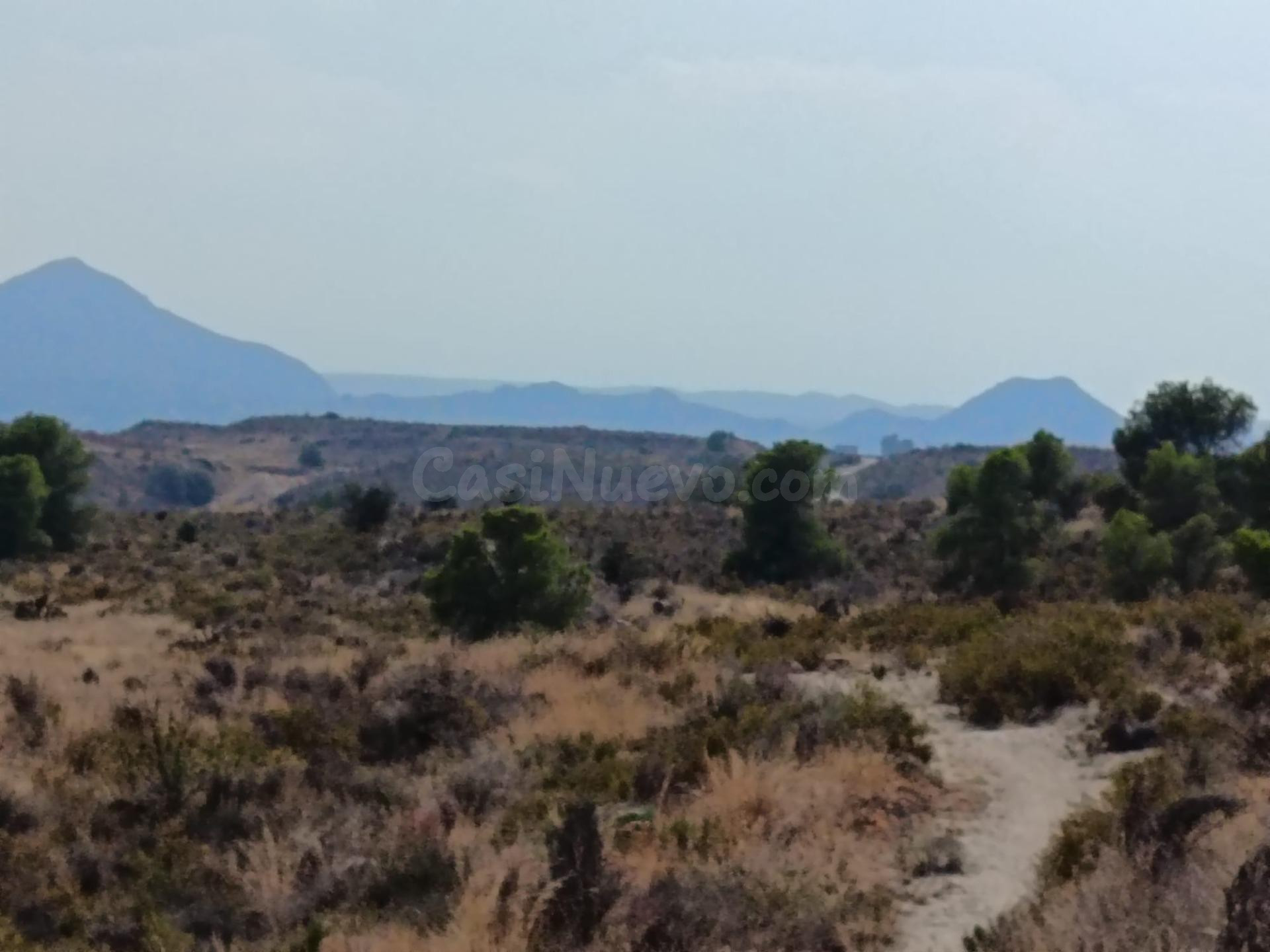 SE VENDE TERRENO RUSTICO / ZONA MORALET / 24 MTS DE TERRENO - foto 3