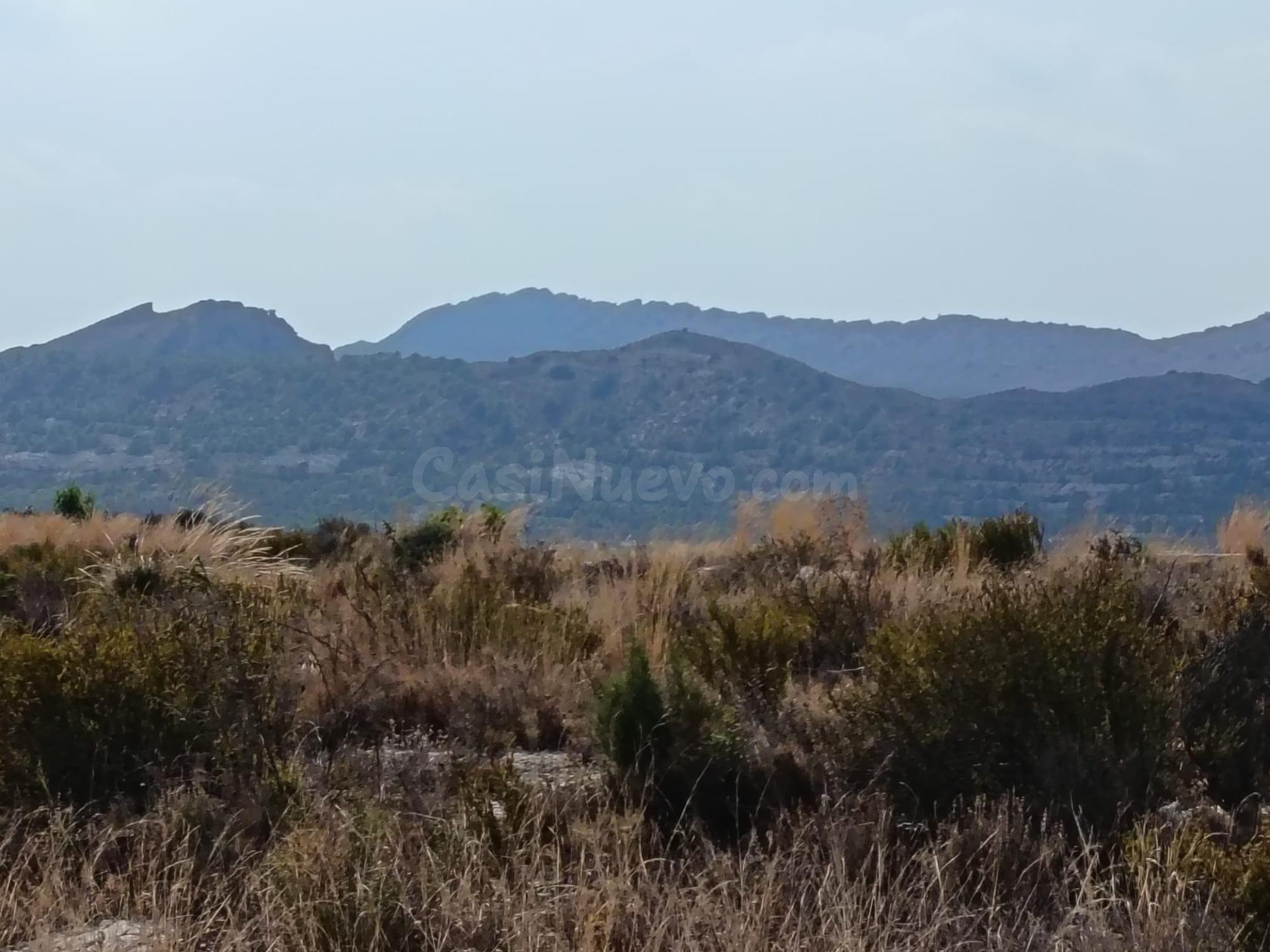 SE VENDE TERRENO RUSTICO / ZONA MORALET / 24 MTS DE TERRENO - foto 5