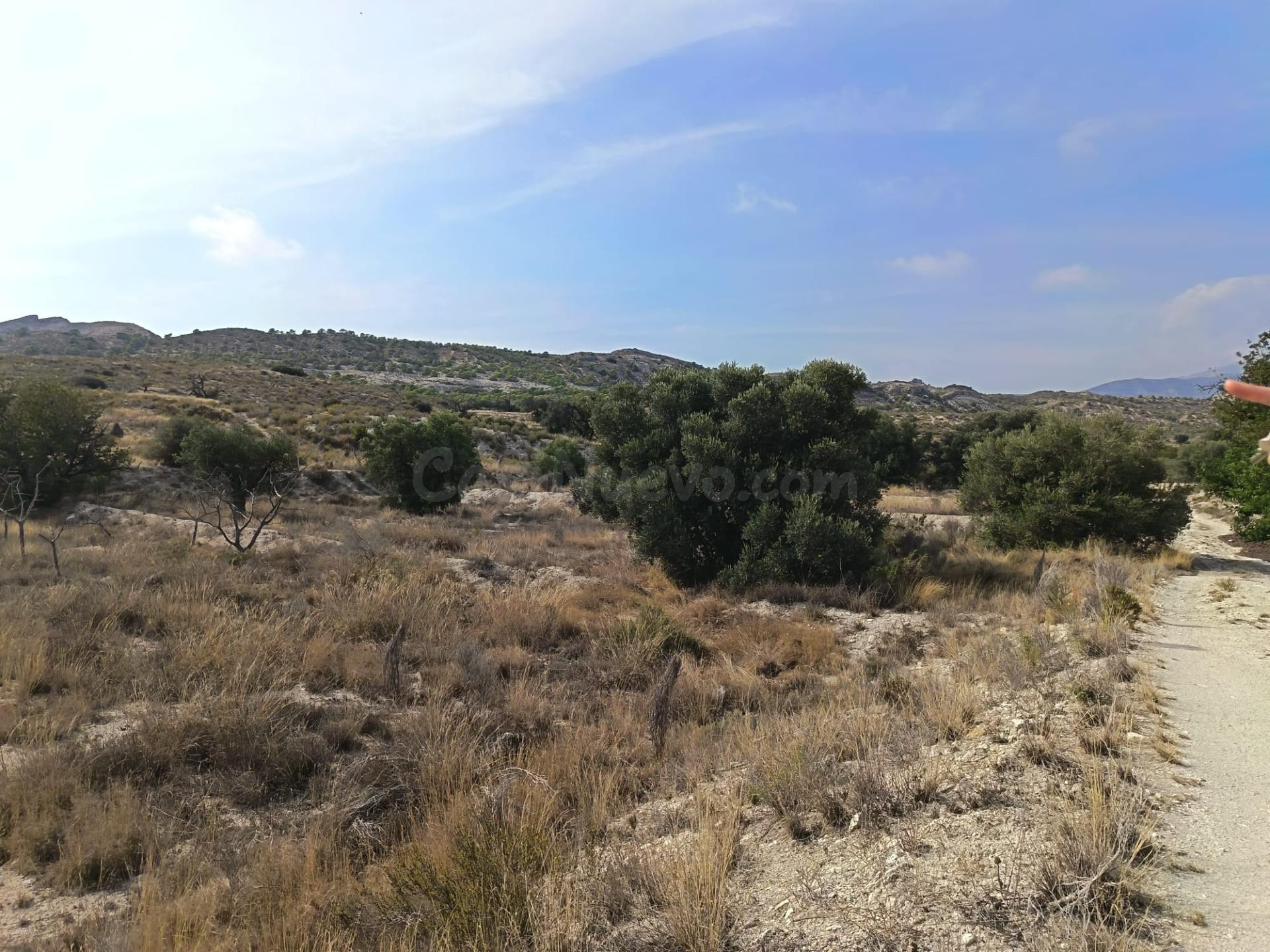 SE VENDE TERRENO CON MAS 11000 METROS DE TERRENO BUENA ZONA - foto 2
