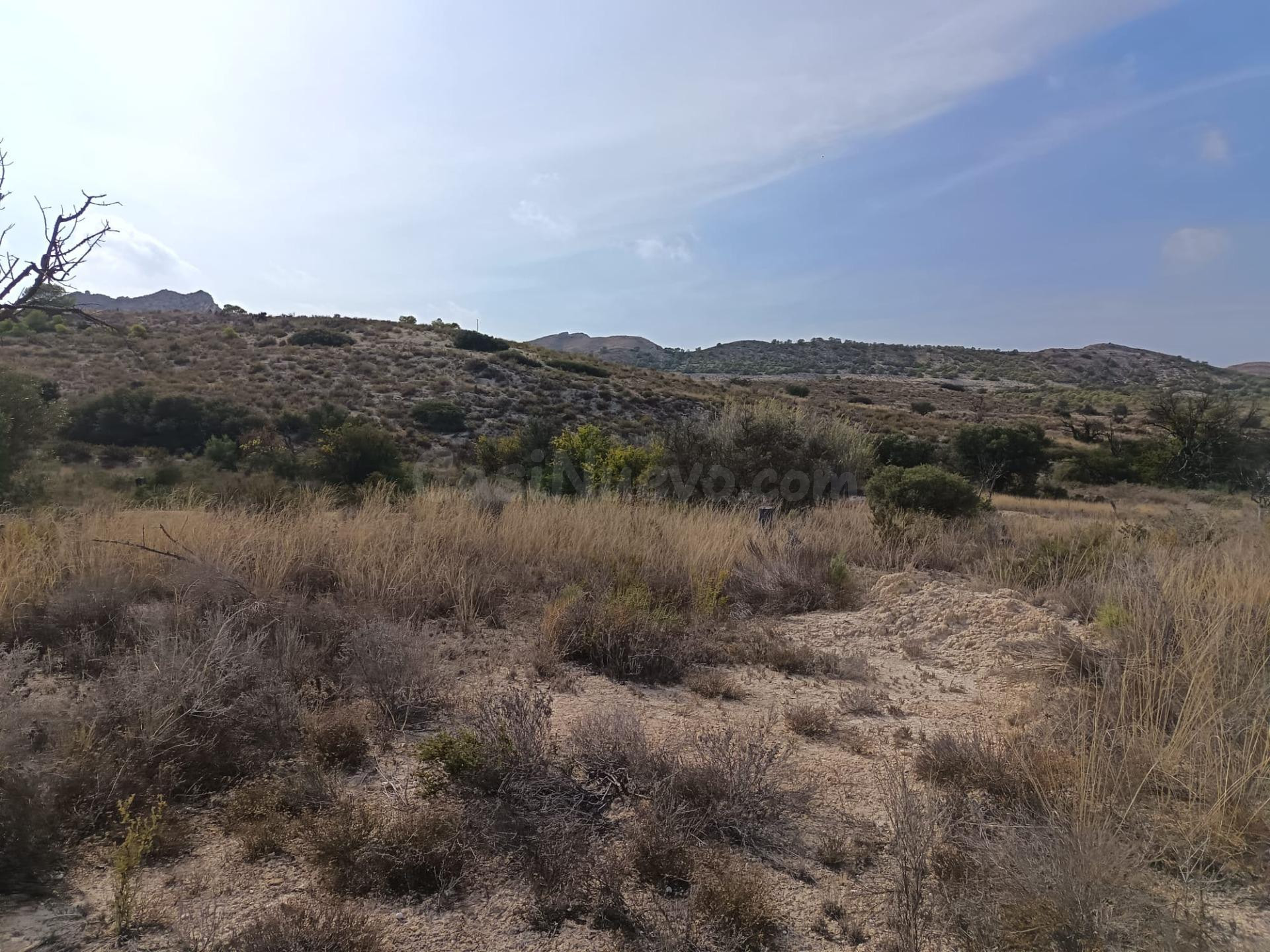 SE VENDE TERRENO CON MAS 11000 METROS DE TERRENO BUENA ZONA - foto 3