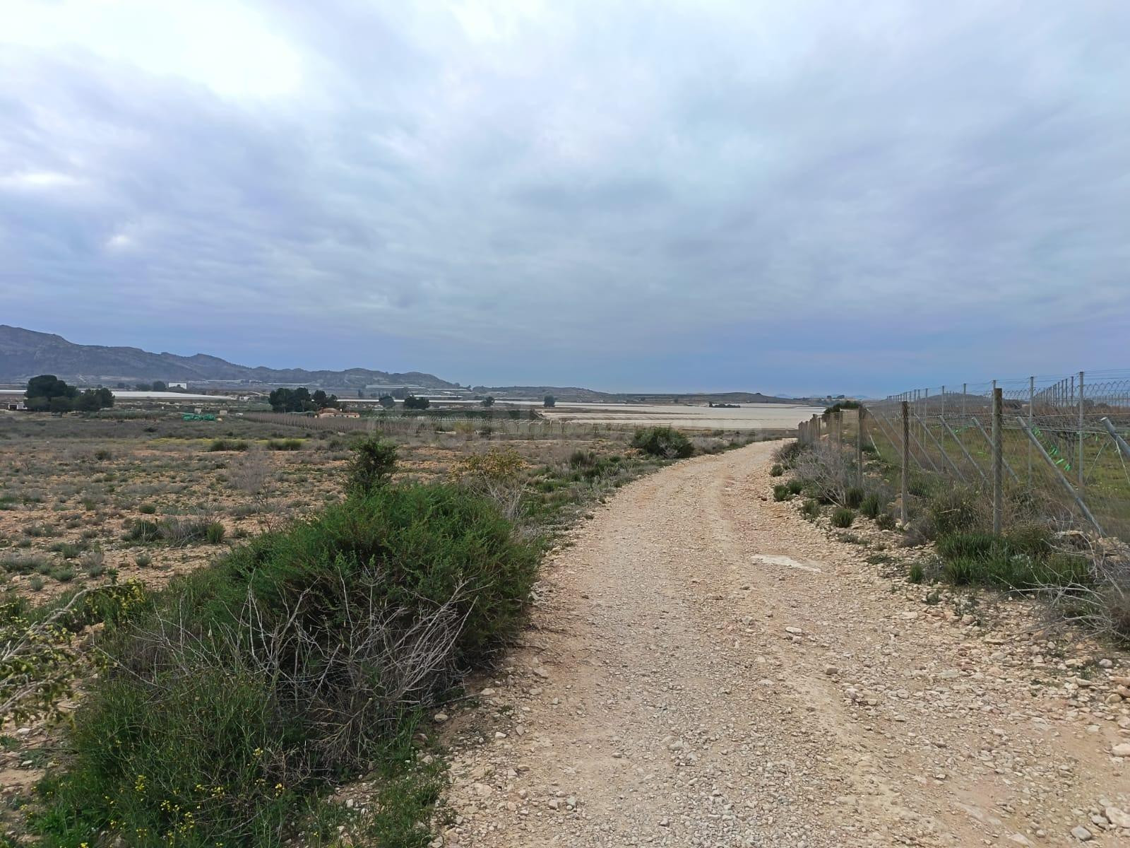 SE VENDE TERRENO / MONFORTE DEL CID / 13.000 MTS. / SE PUEDE