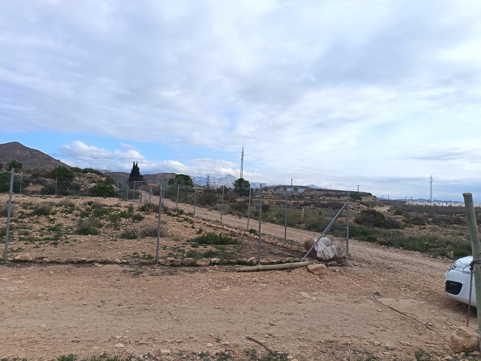 SE VENDE TERRENO / MONFORTE DEL CID / 13.000 MTS. / SE PUEDE - foto 4