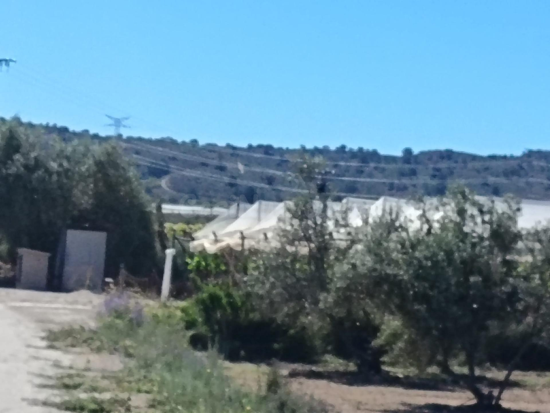 SE VENDE PARCELA / MONFORTE DEL CID / RUSTICA - foto 3