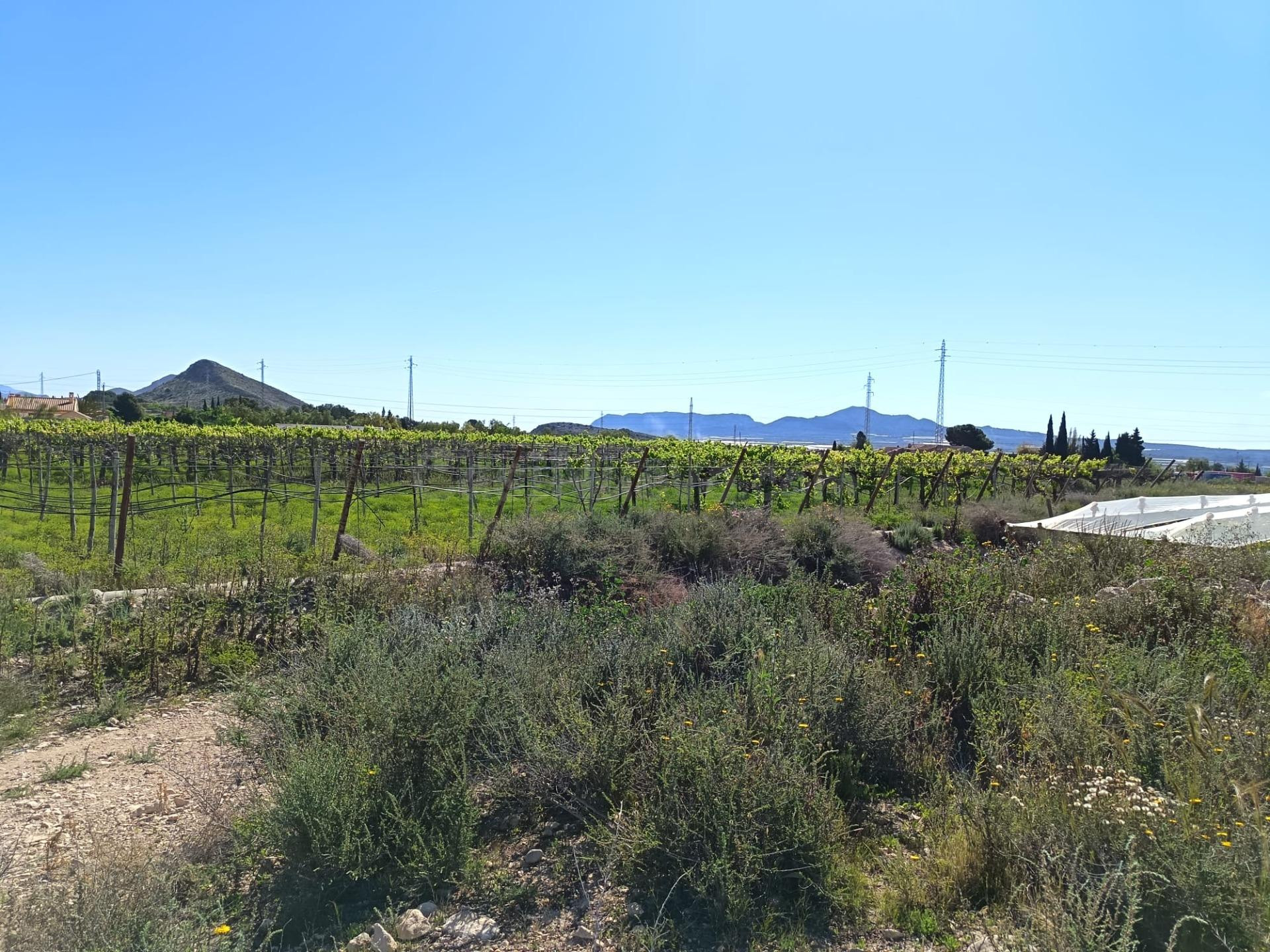 SE VENDE PARCELA / RUSTICA / AGUA Y LUZ A PIE DE PARCELA / M - foto 4