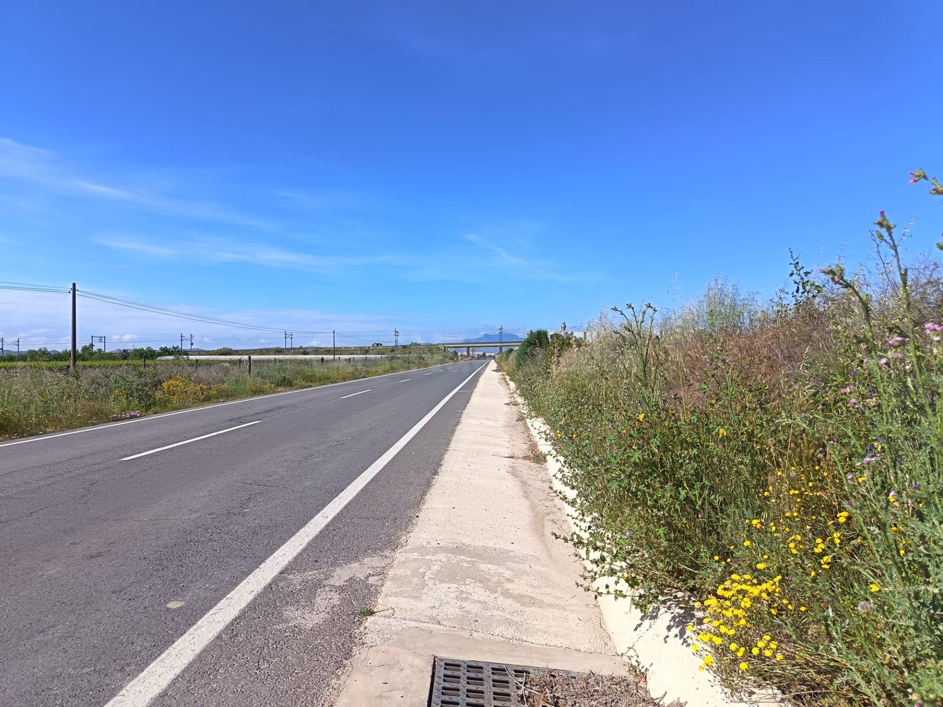 SE VENDE TERRENO PEGADO AL PUEBLO EN MUY BUENA ZONA CON AGUA - foto 2