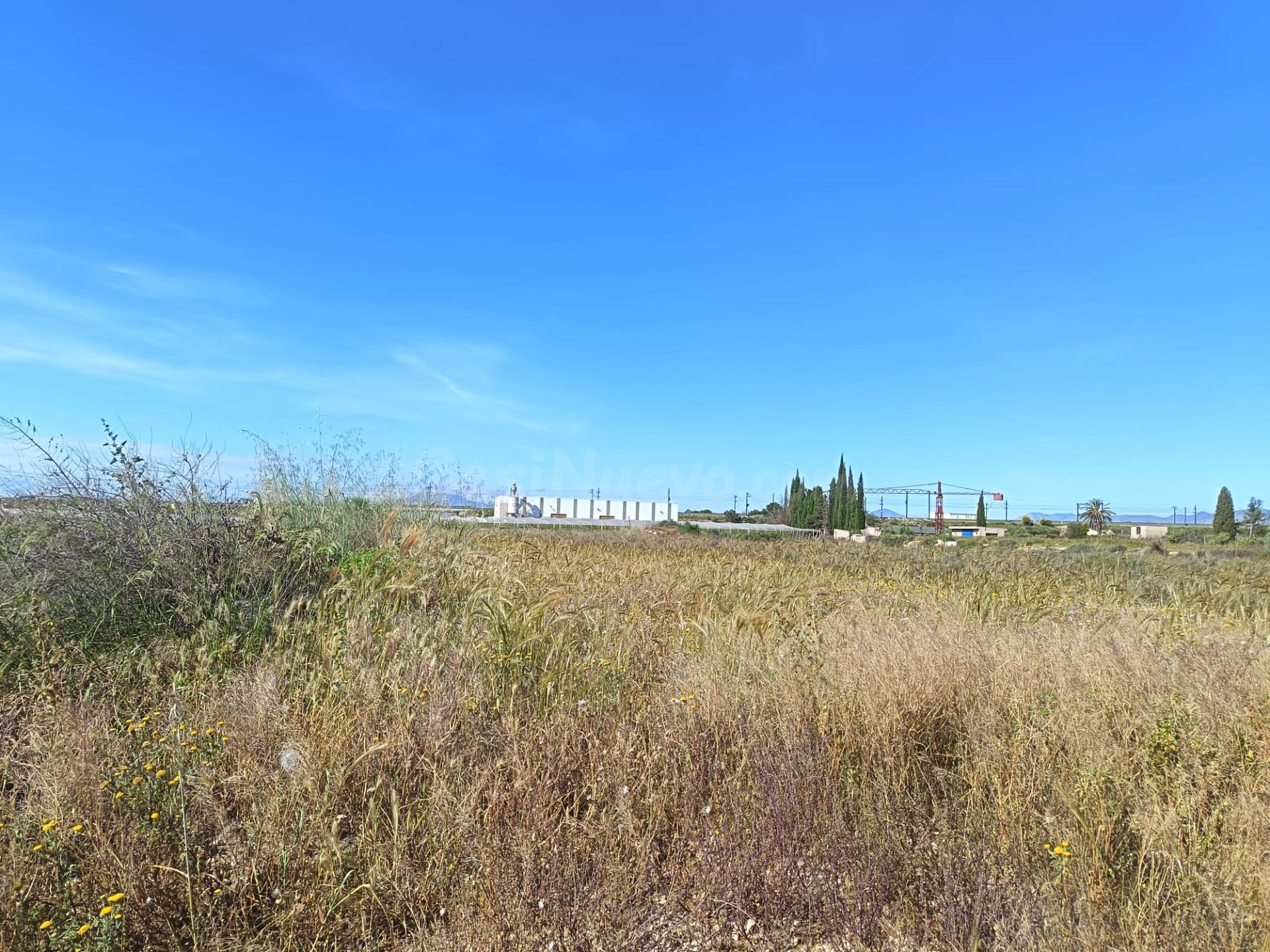 SE VENDE TERRENO PEGADO AL PUEBLO EN MUY BUENA ZONA CON AGUA - foto 3