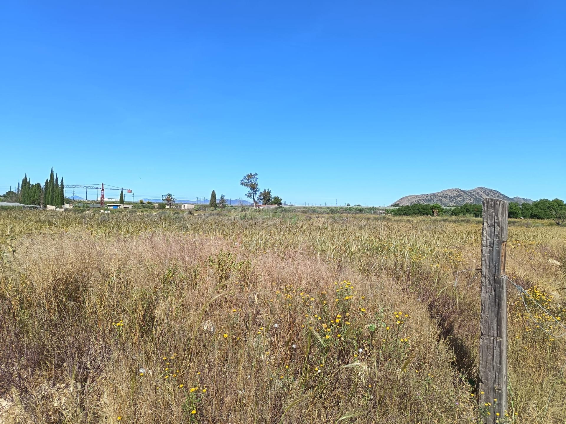 SE VENDE TERRENO PEGADO AL PUEBLO EN MUY BUENA ZONA CON AGUA - foto 5