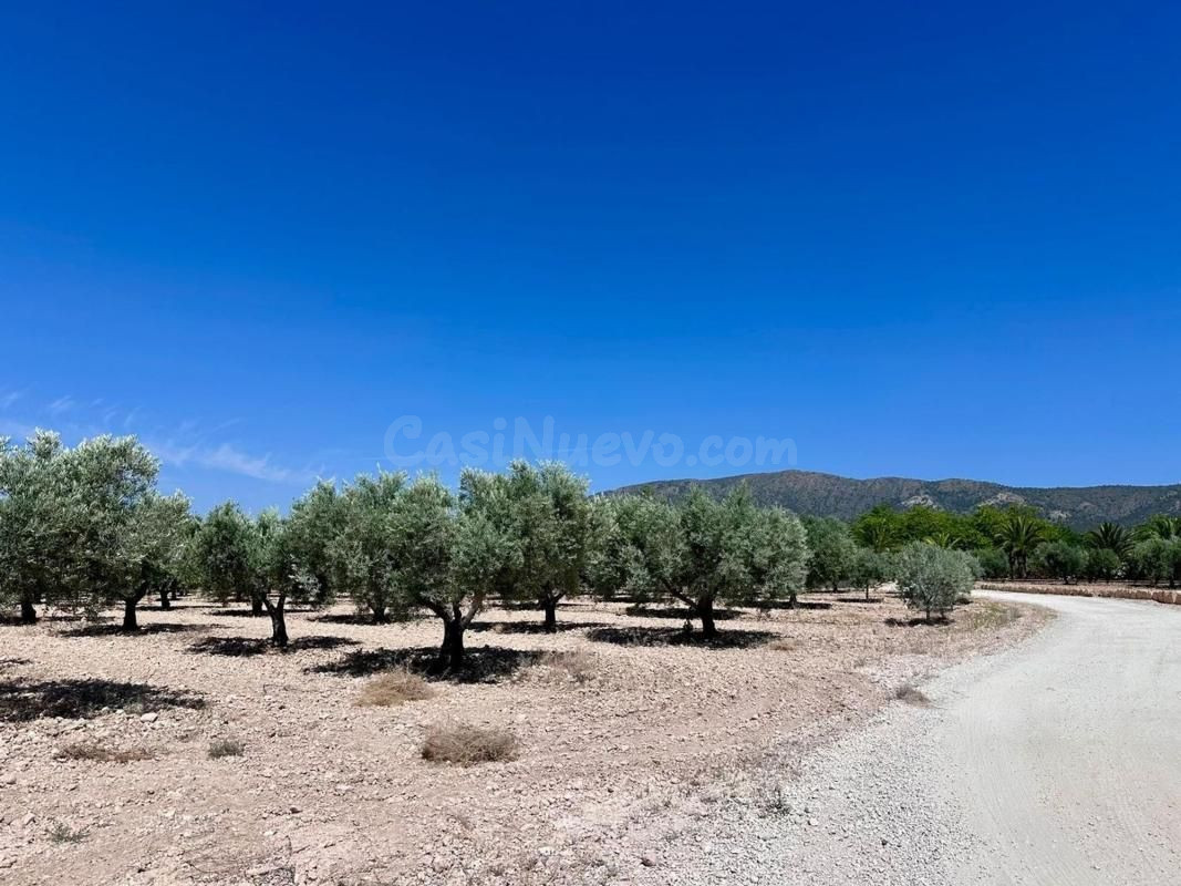 Parcela en venta - Comunidad valenciana - foto 2