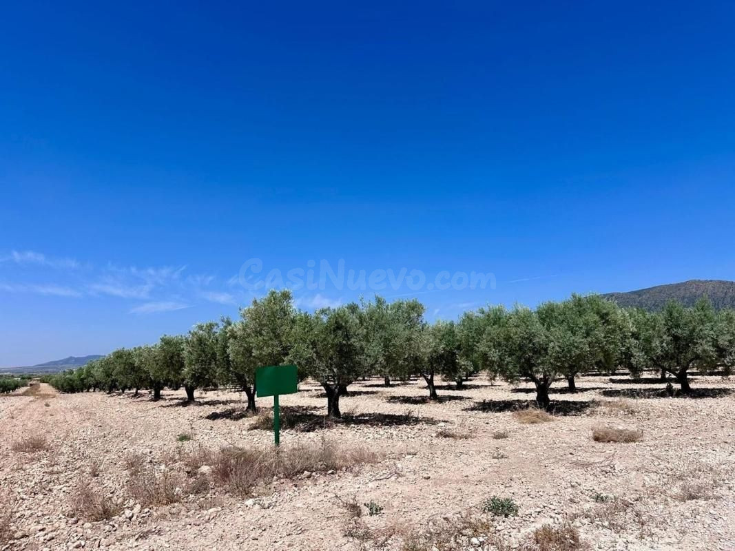 Parcela en venta - Comunidad valenciana - foto 4