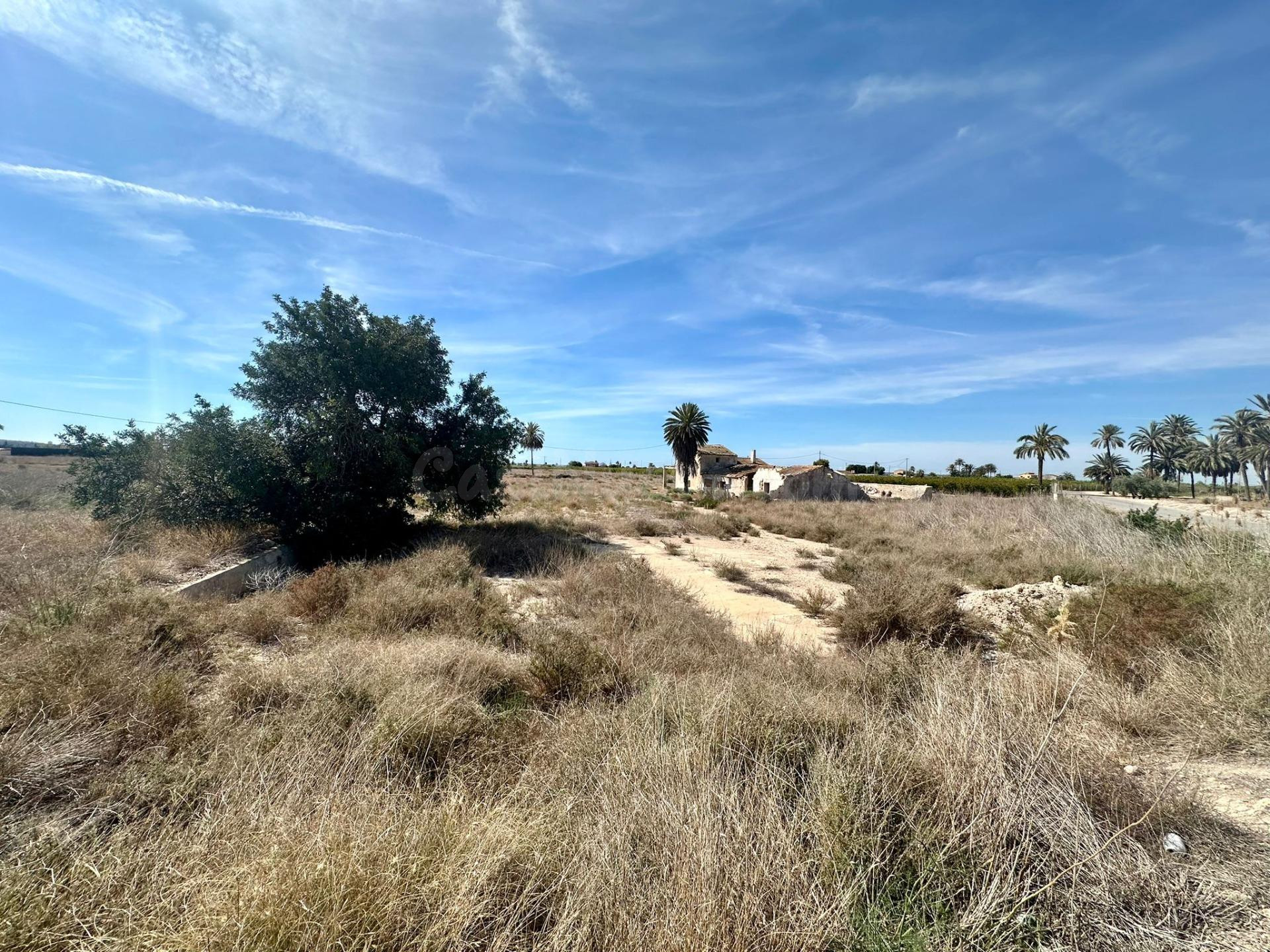 EN VENTA TERRENO JUNTO A LA CTRA.DE SANTA POLA DE 45.000 MET - foto 3