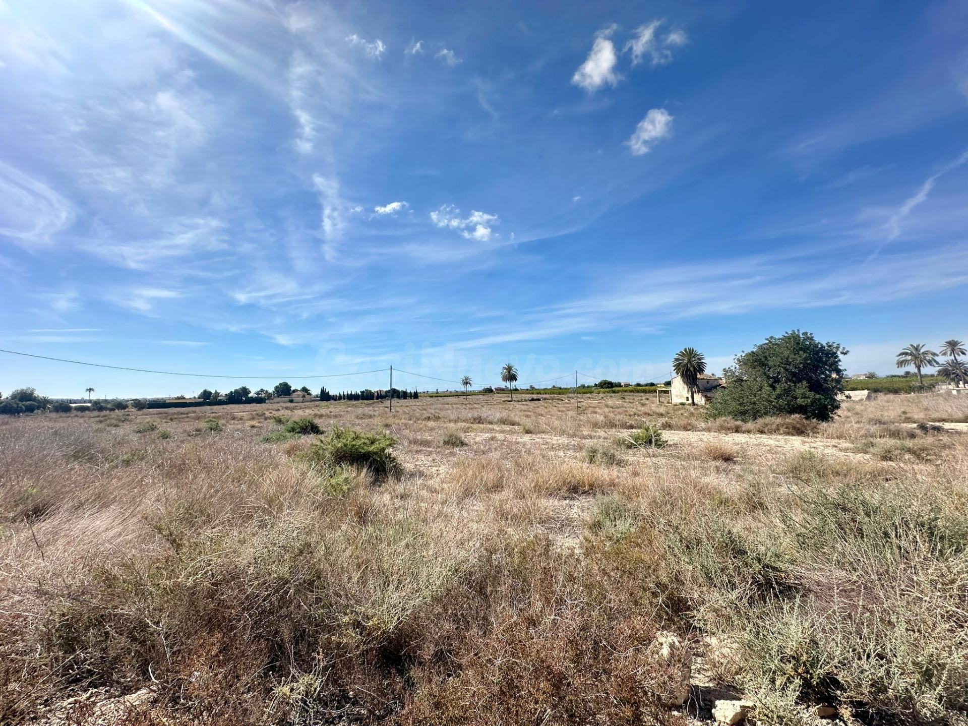 EN VENTA TERRENO JUNTO A LA CTRA.DE SANTA POLA DE 45.000 MET - foto 4