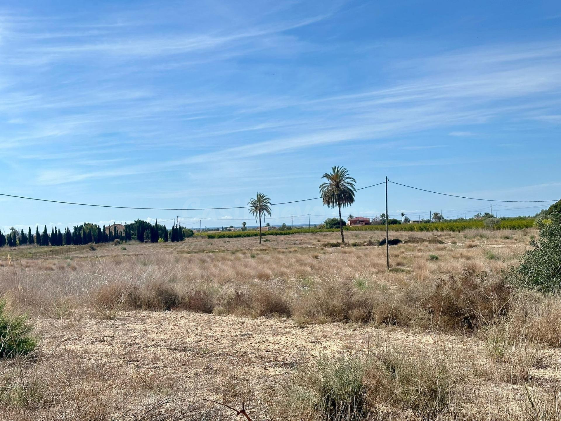 EN VENTA TERRENO JUNTO A LA CTRA.DE SANTA POLA DE 45.000 MET - foto 5