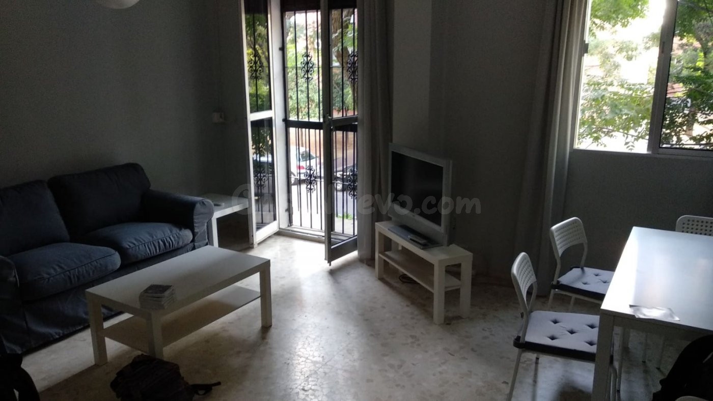PISO EN ALQUILER JUNTO A REINA MERCEDES - foto 2