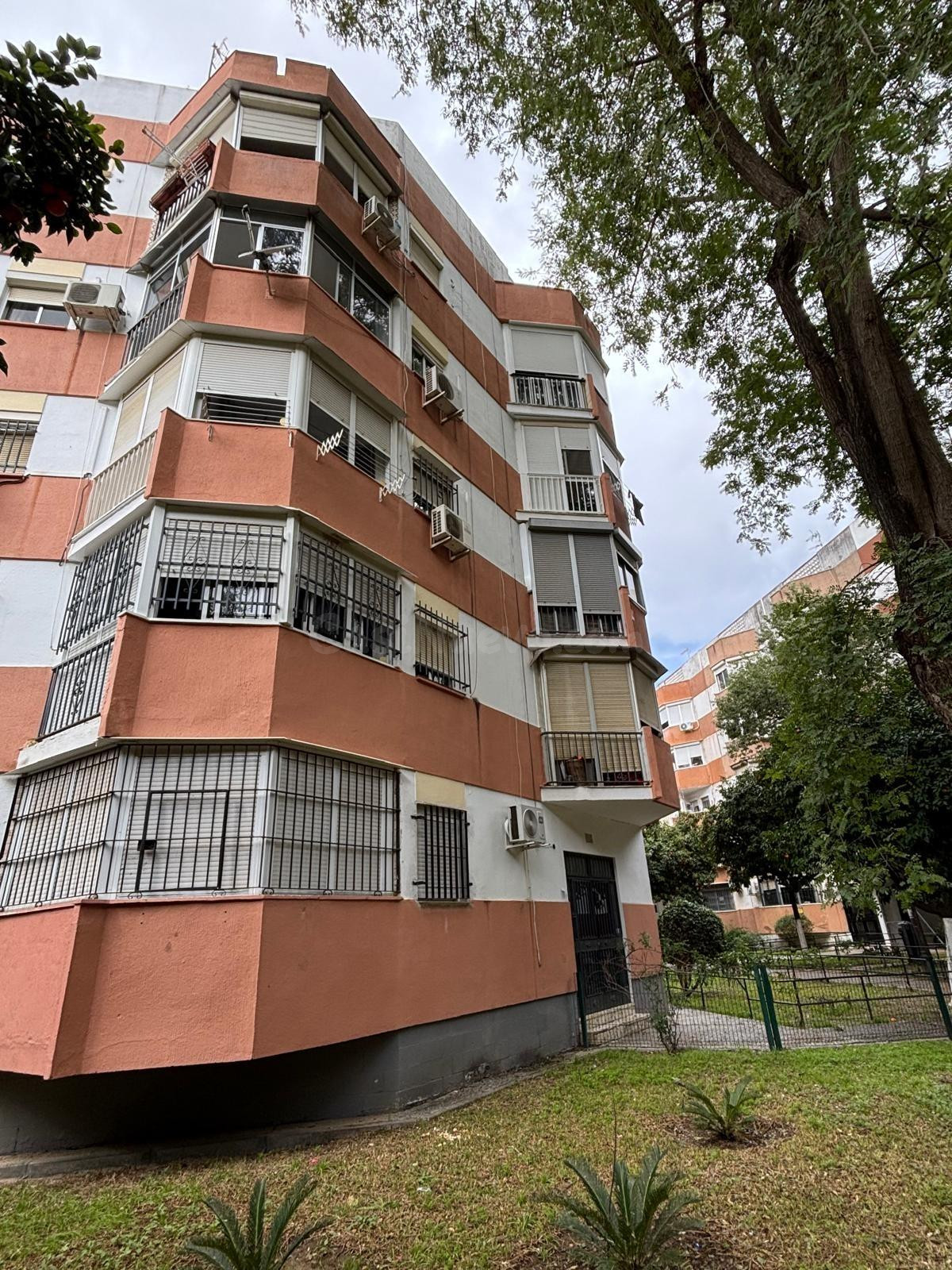 Se vende estupendo piso en el barrio de La Oliva - foto 2