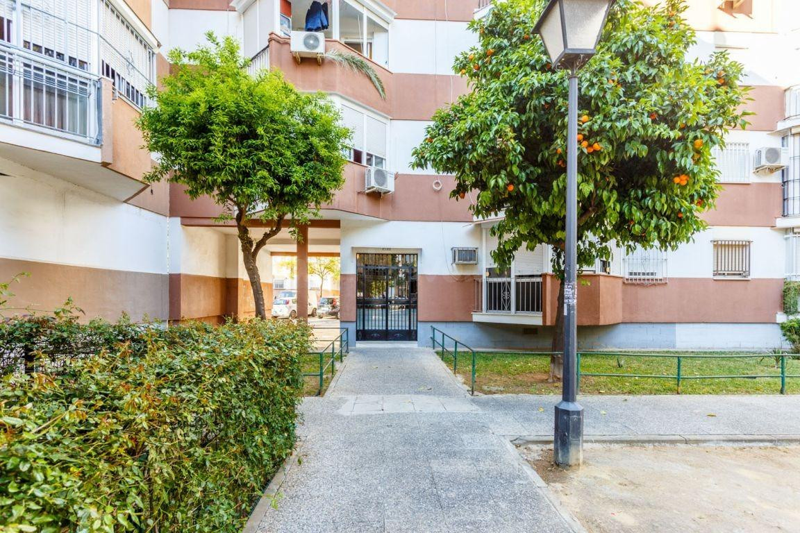 Se vende estupendo piso en el barrio de La Oliva - foto 4