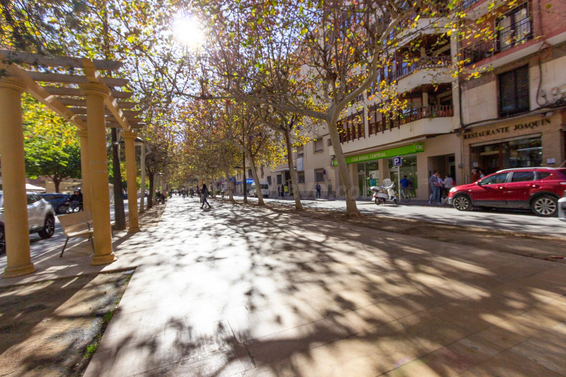 Despacho Disponible en Avenida Teodomiro - Centro de Negocio - foto 4