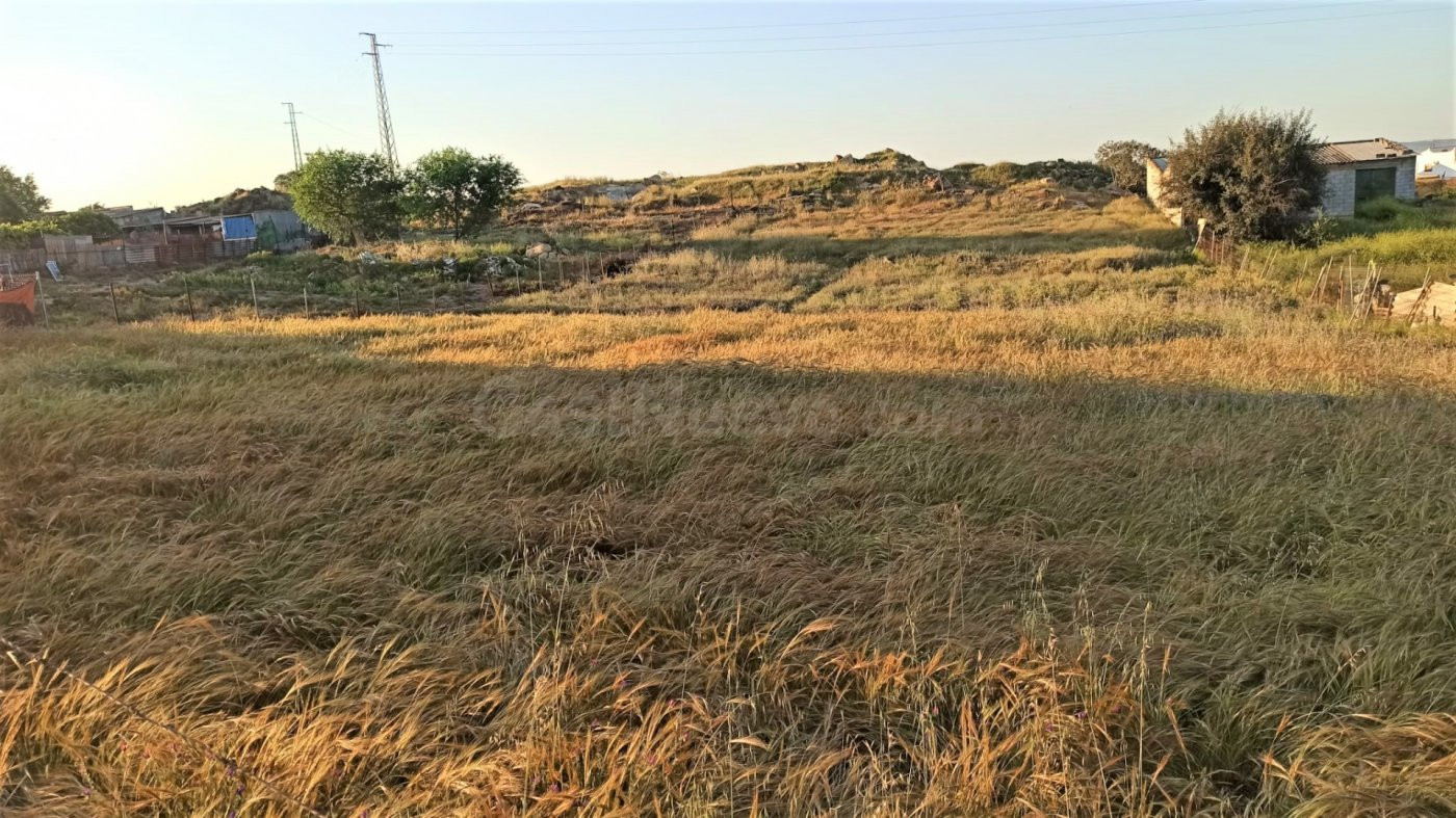 Terreno en el pueblo de Gerena - Sevilla con 2.515 m2