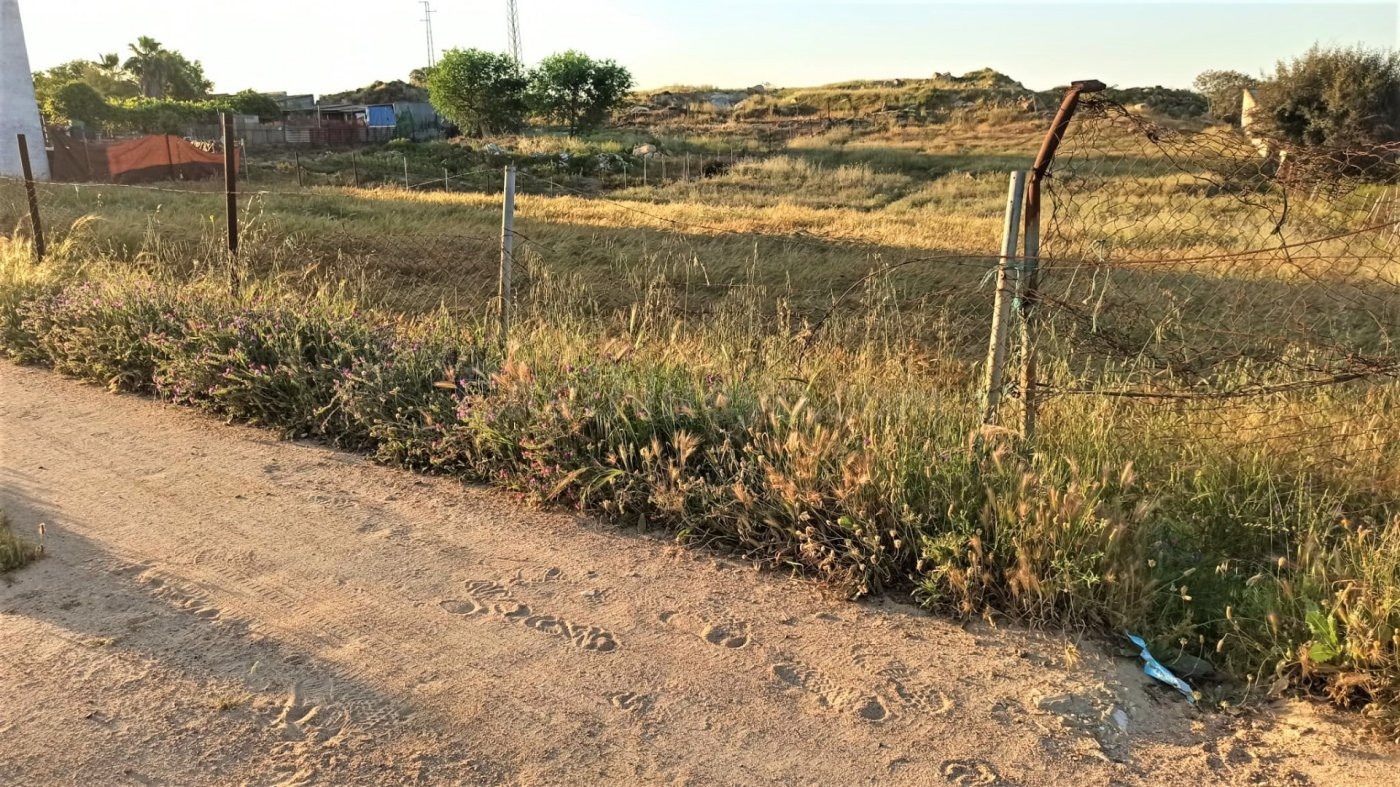 Terreno en el pueblo de Gerena - Sevilla con 2.515 m2 - foto 3