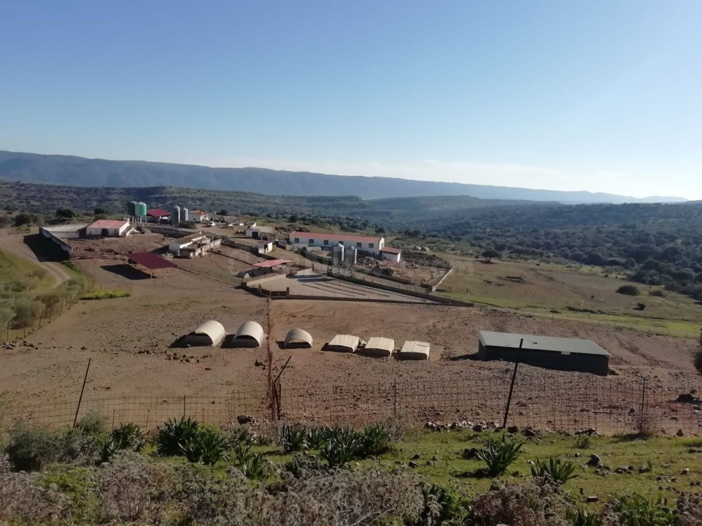 Finca de explotación ganadera en activo con 80 hectáreas en  - foto 2