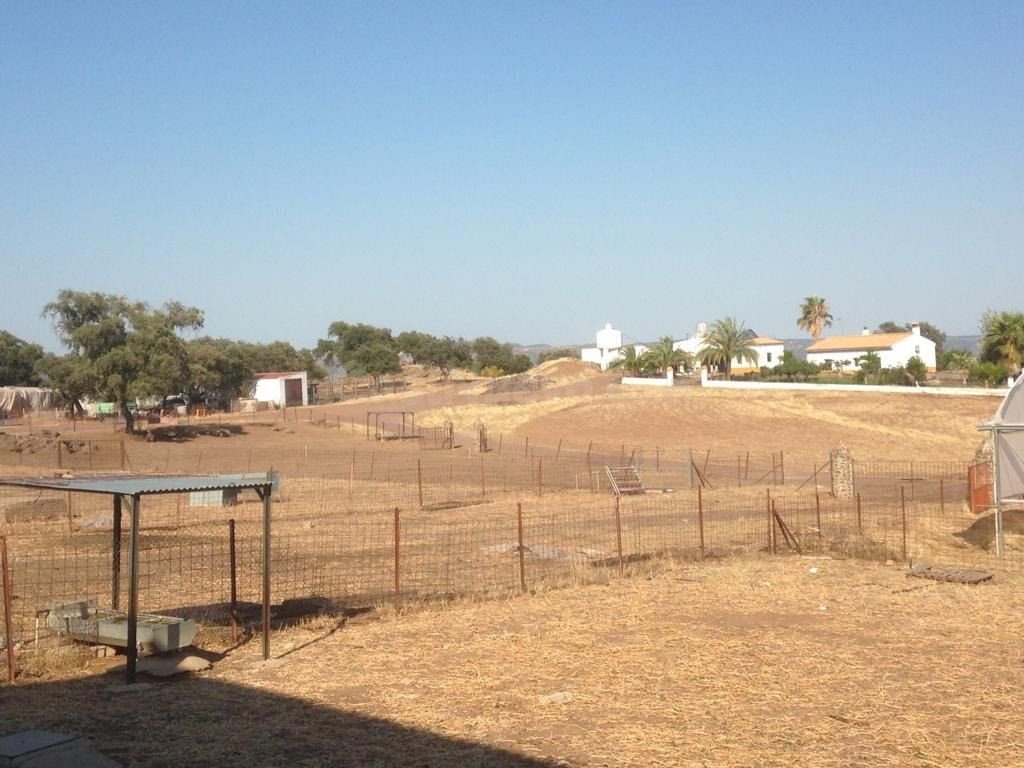 Finca de explotación ganadera en activo con 80 hectáreas en  - foto 3