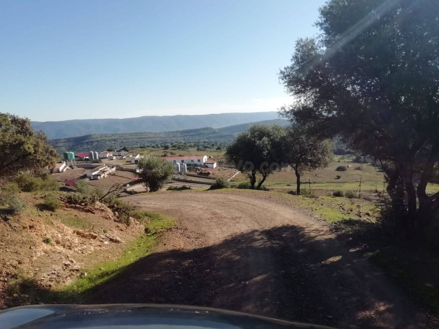Finca de explotación ganadera en activo con 80 hectáreas en  - foto 5