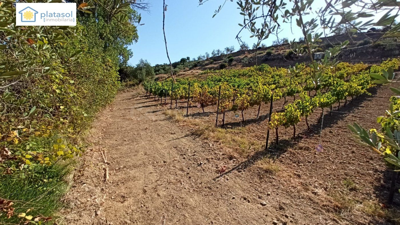 Finca rústica a la venta en Gerena zona camino piedra caball