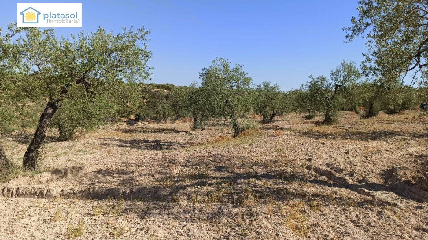 Finca rústica a la venta en Gerena zona camino piedra caball - foto 2