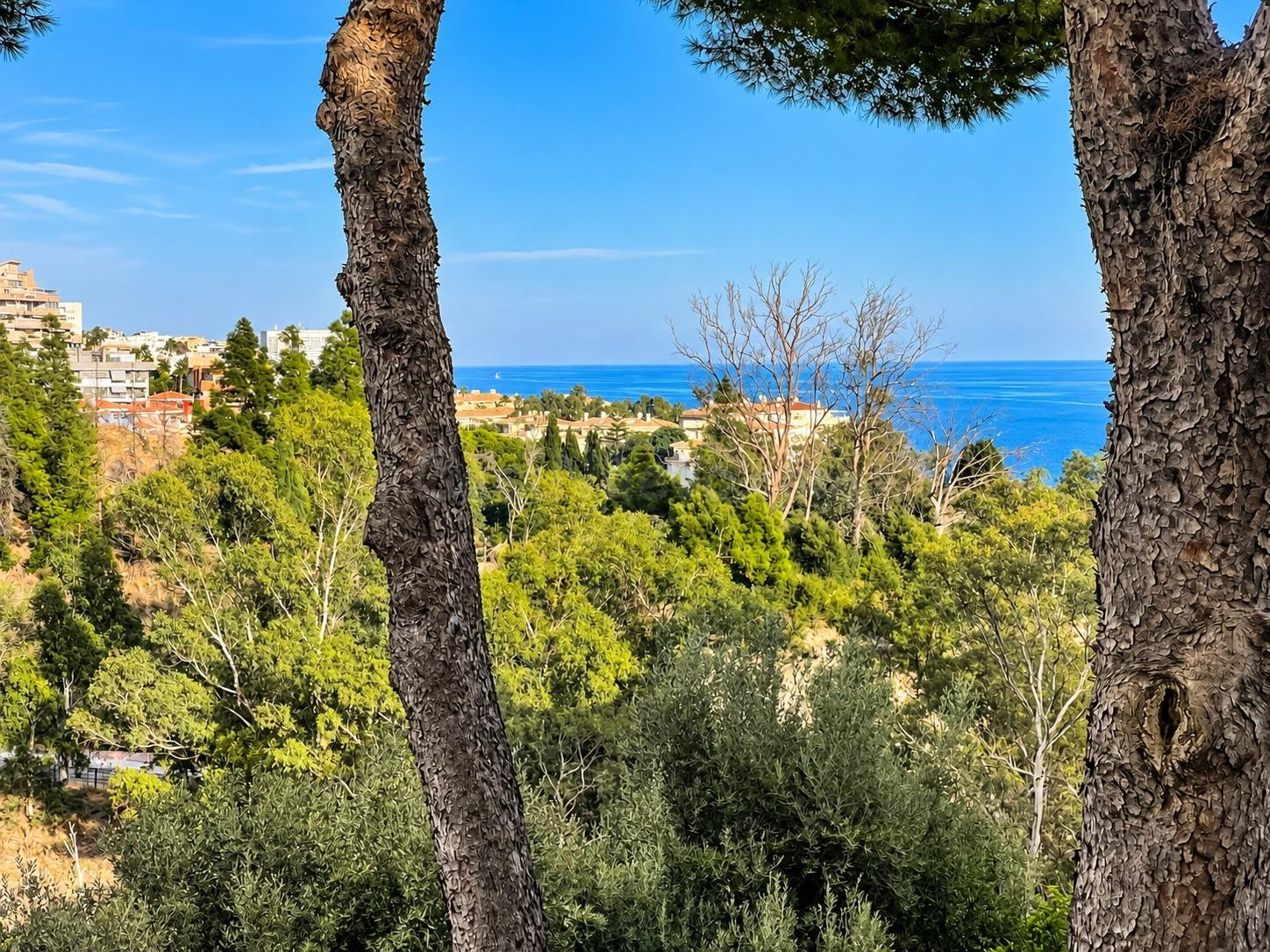 CASA PAREADA VISTAS AL MAR Y AL BOSQUE MEDITERRÁNEO