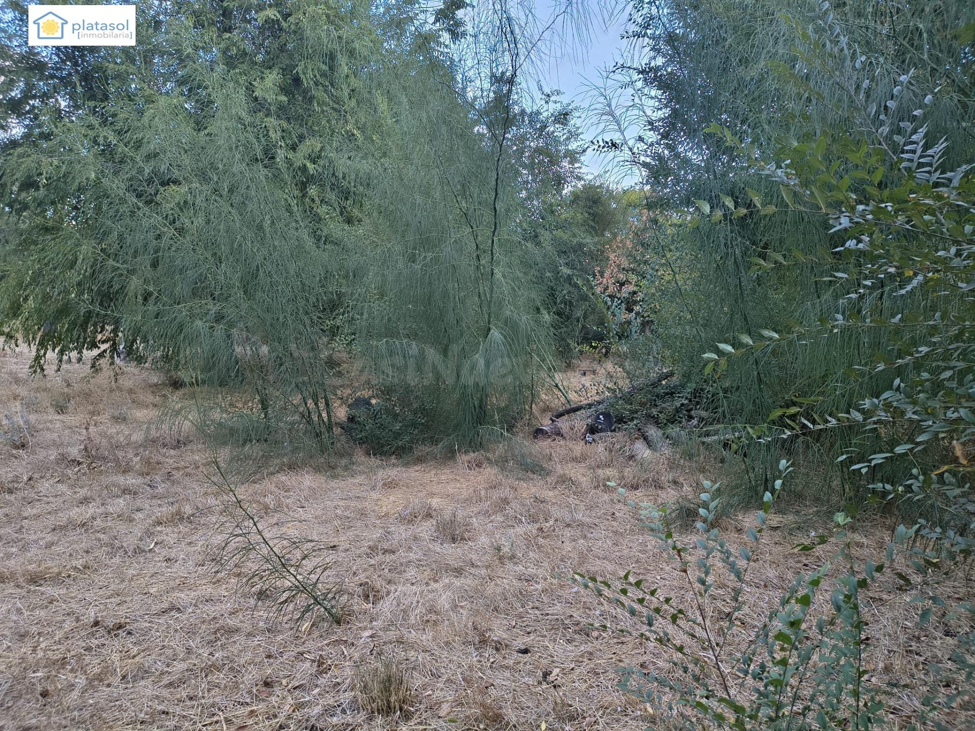 Parcela urbana en Urb. Los Zarzalejos - foto 4