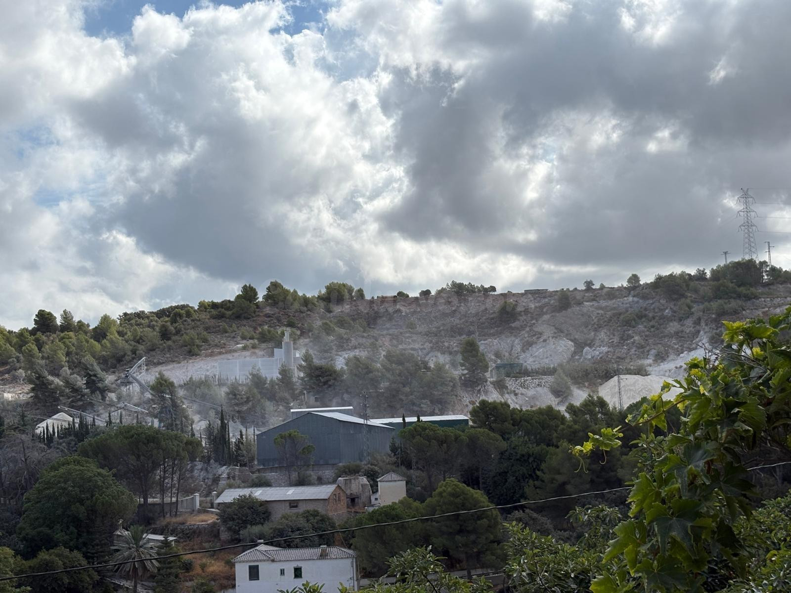 Vivienda + finca + negocio agrícola en una misma propiedad. - foto 3
