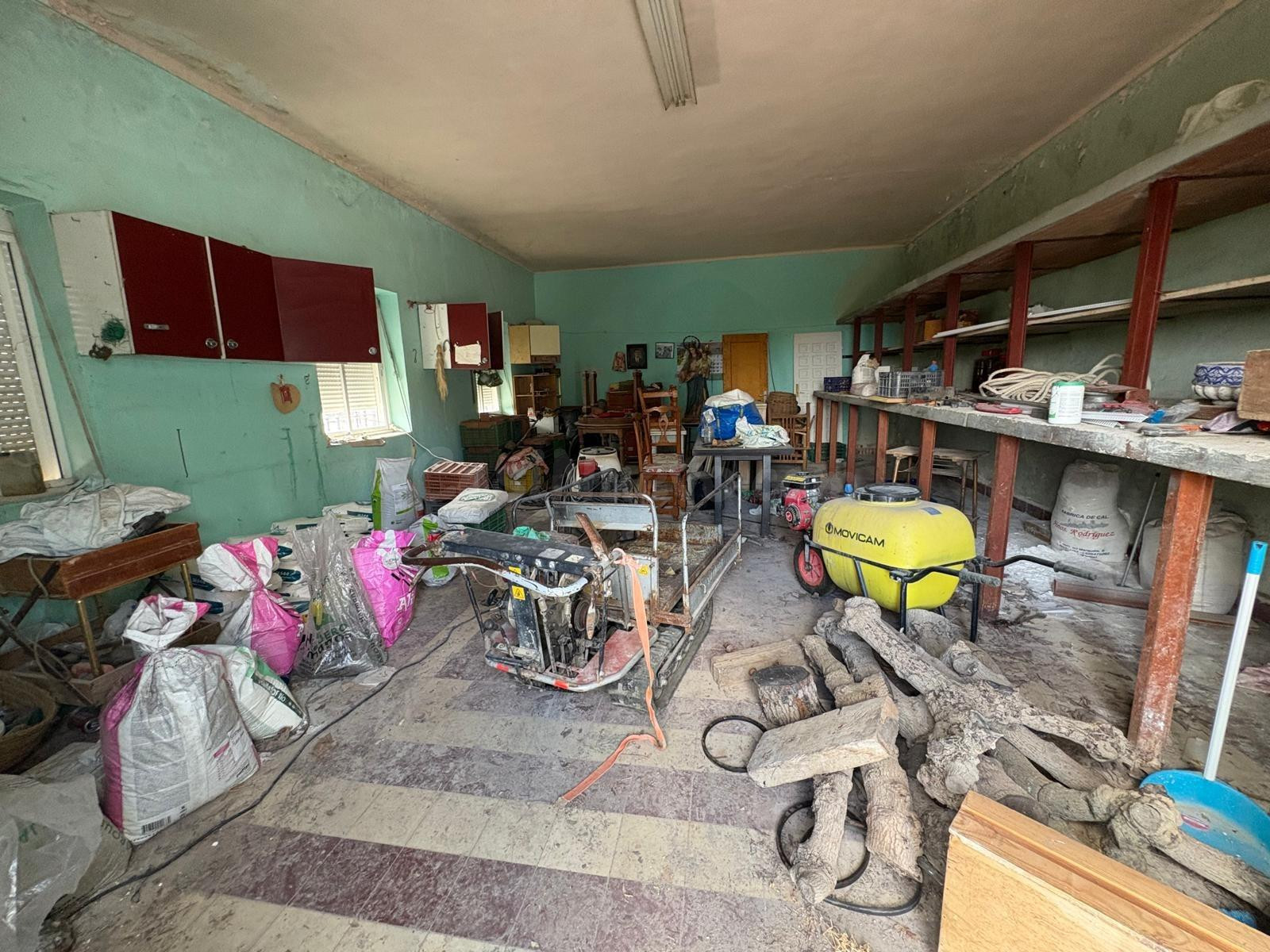 Vivienda + finca + negocio agrícola en una misma propiedad. - foto 4