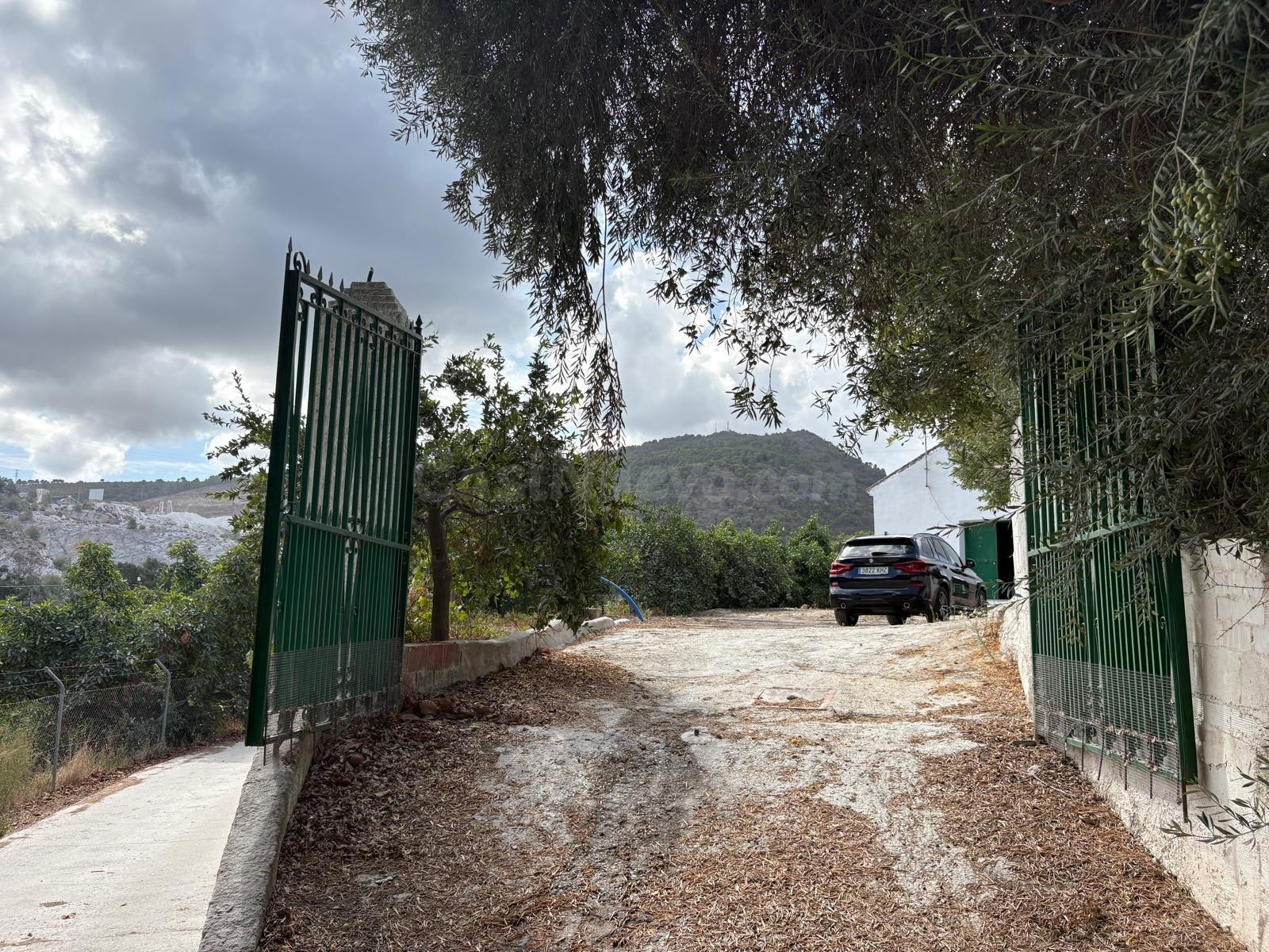 Vivienda + finca + negocio agrícola en una misma propiedad. - foto 5