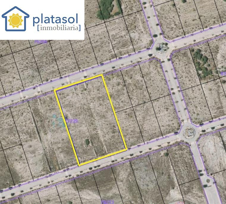 Parcela de 25.000 mt2 con posibilidad de segregar en parcela - foto 2