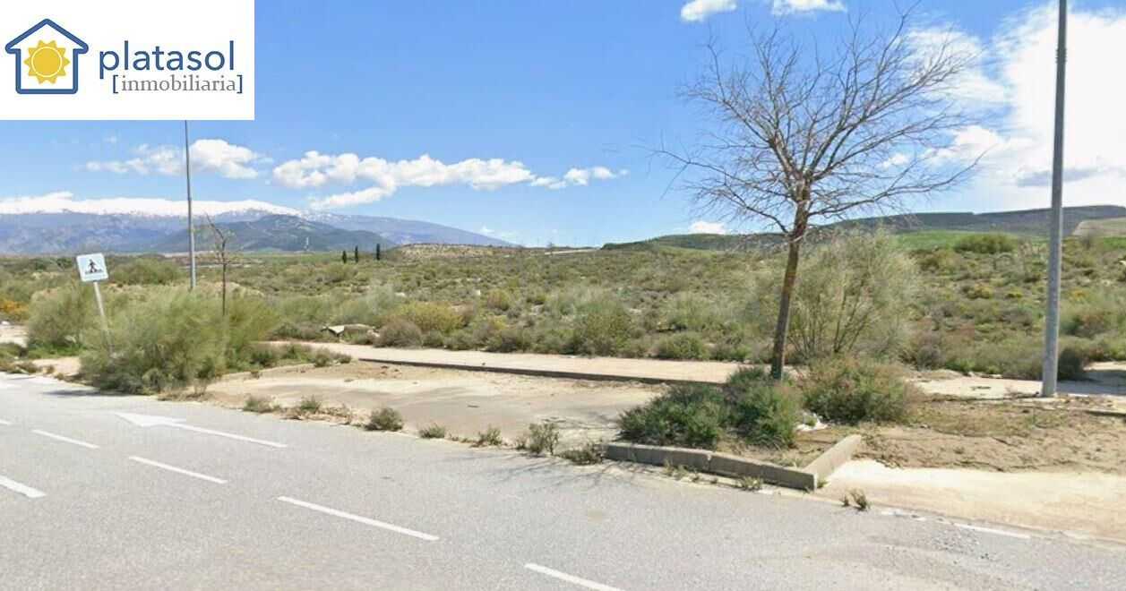 Parcela de 25.000 mt2 con posibilidad de segregar en parcela - foto 4