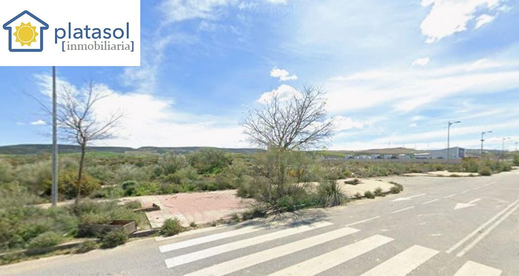 Parcela de 25.000 mt2 con posibilidad de segregar en parcela - foto 5