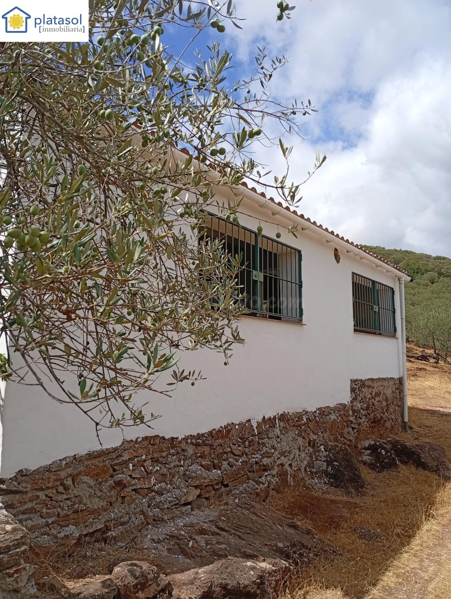 Finca rústica de olivos en Zufre - foto 4