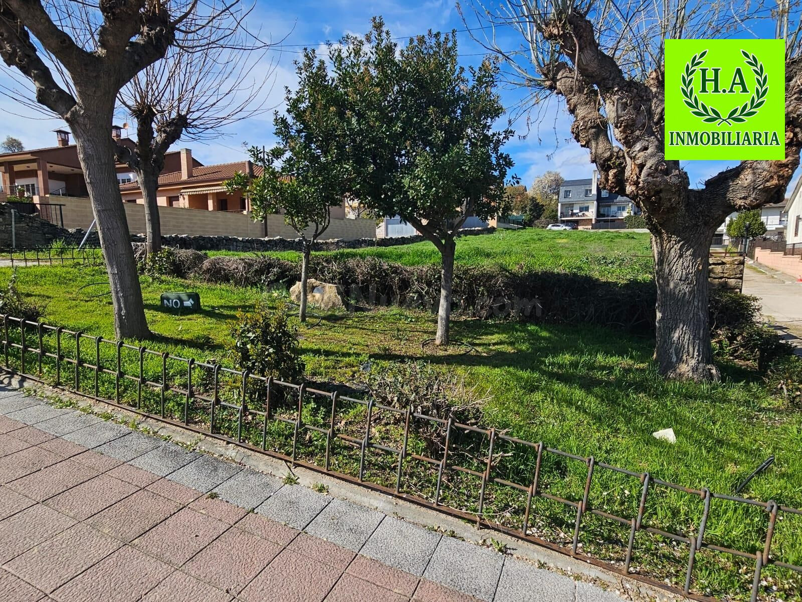 PARCELA URBANA EN EL MOLAR - foto 5