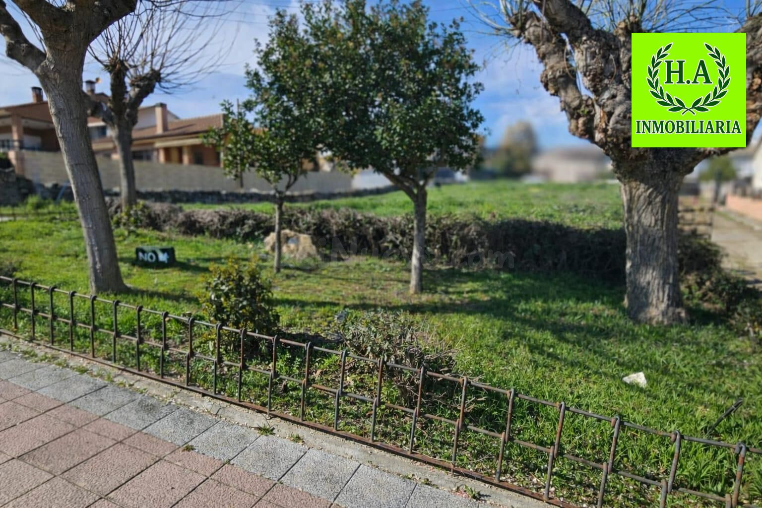 PARCELA URBANA EN EL MOLAR - foto 3